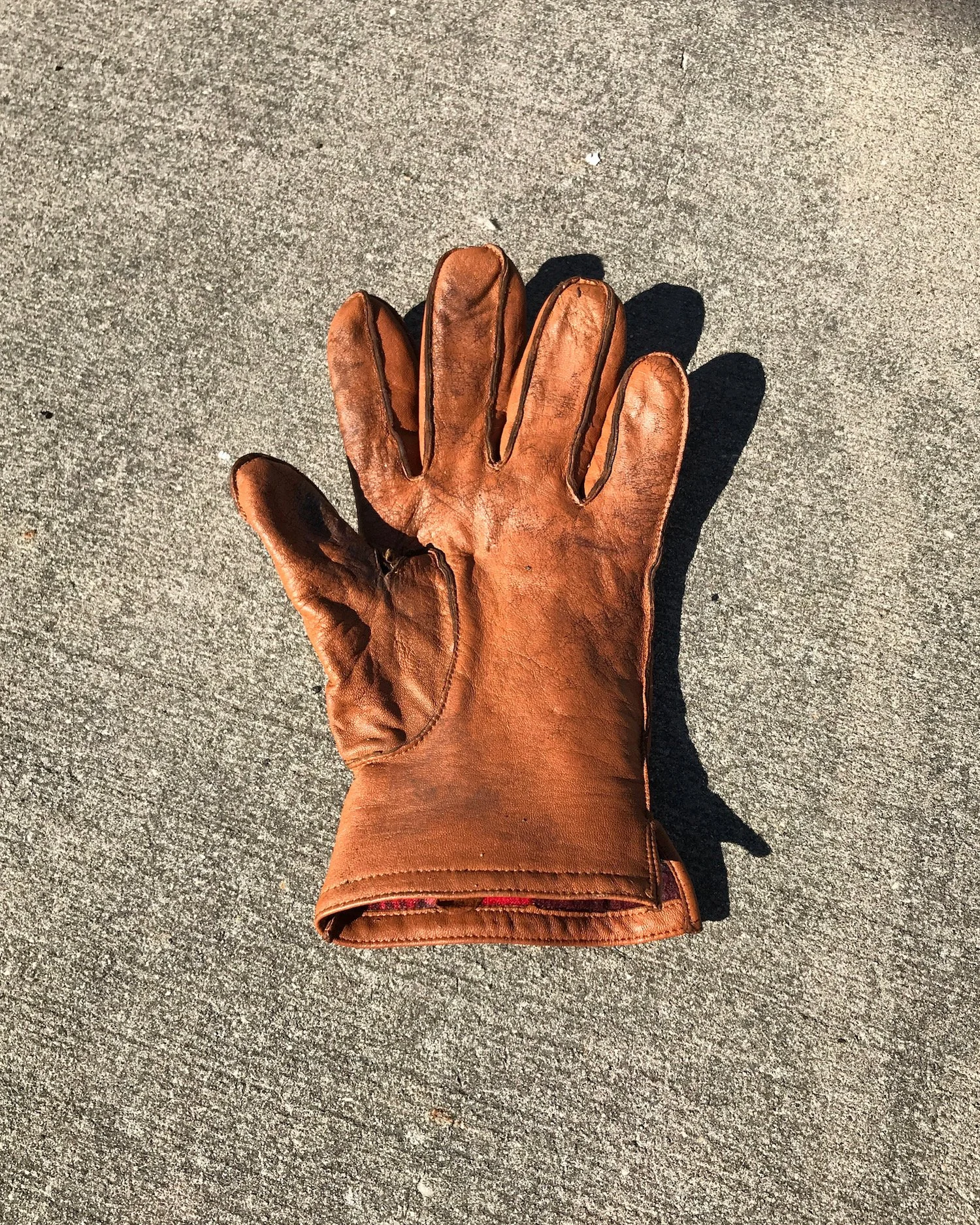 GowanusGlove_DuncanHill.JPG