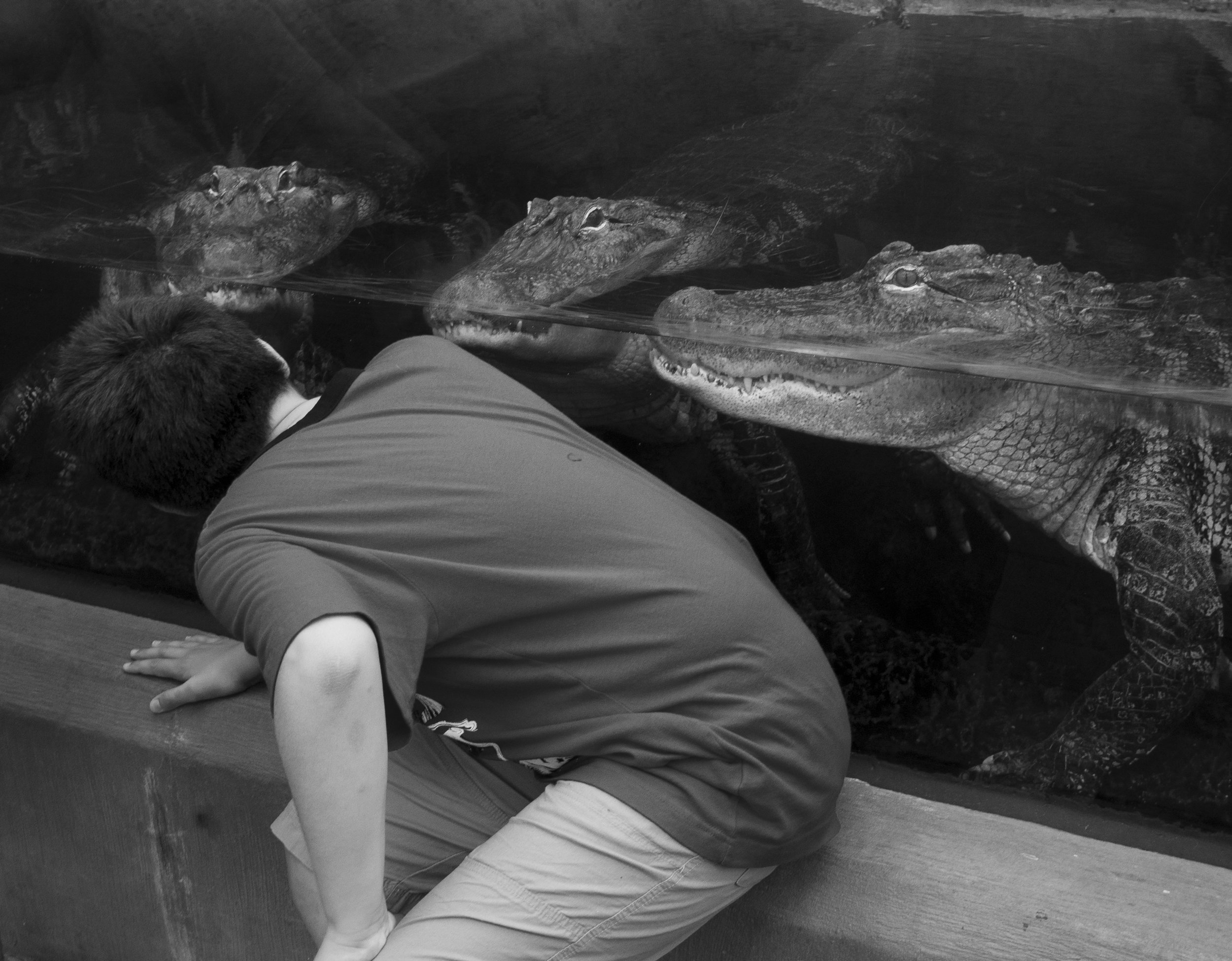 Eye to Eye, Fort Fisher, NC