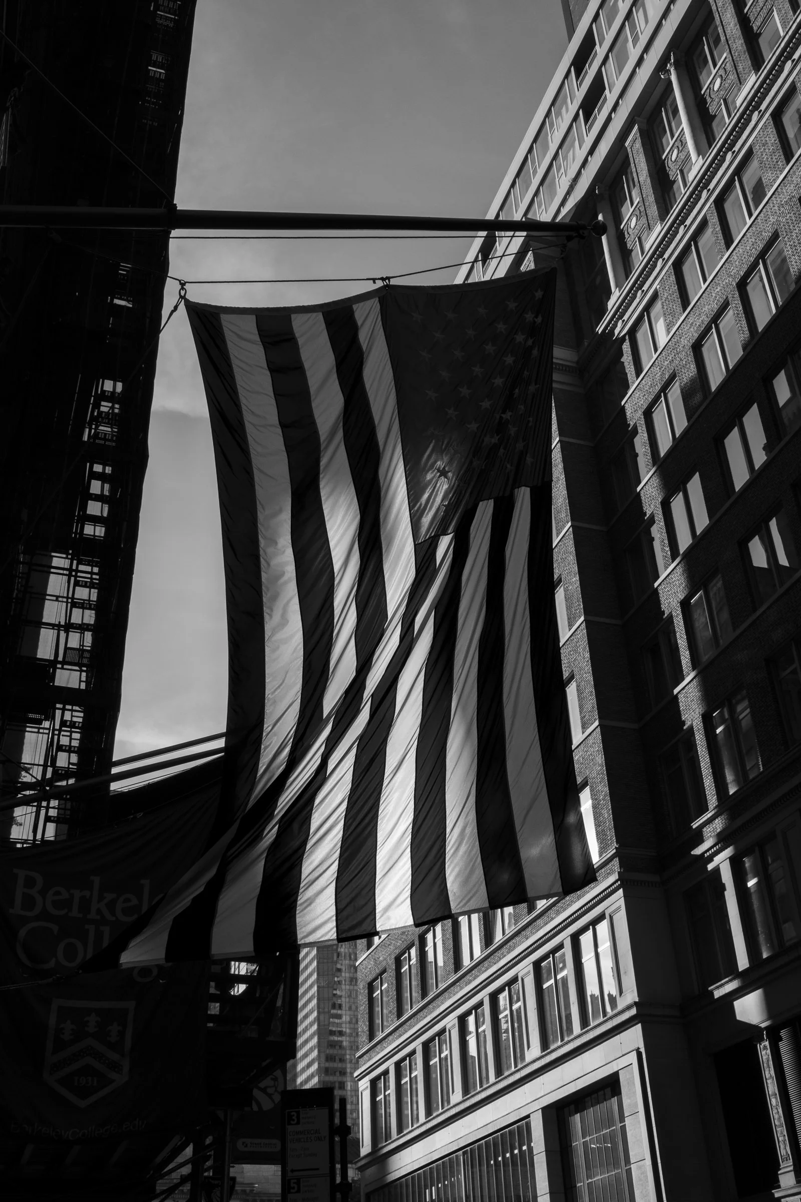 LibraryWay-Flag-NYC_DuncanHill.jpg