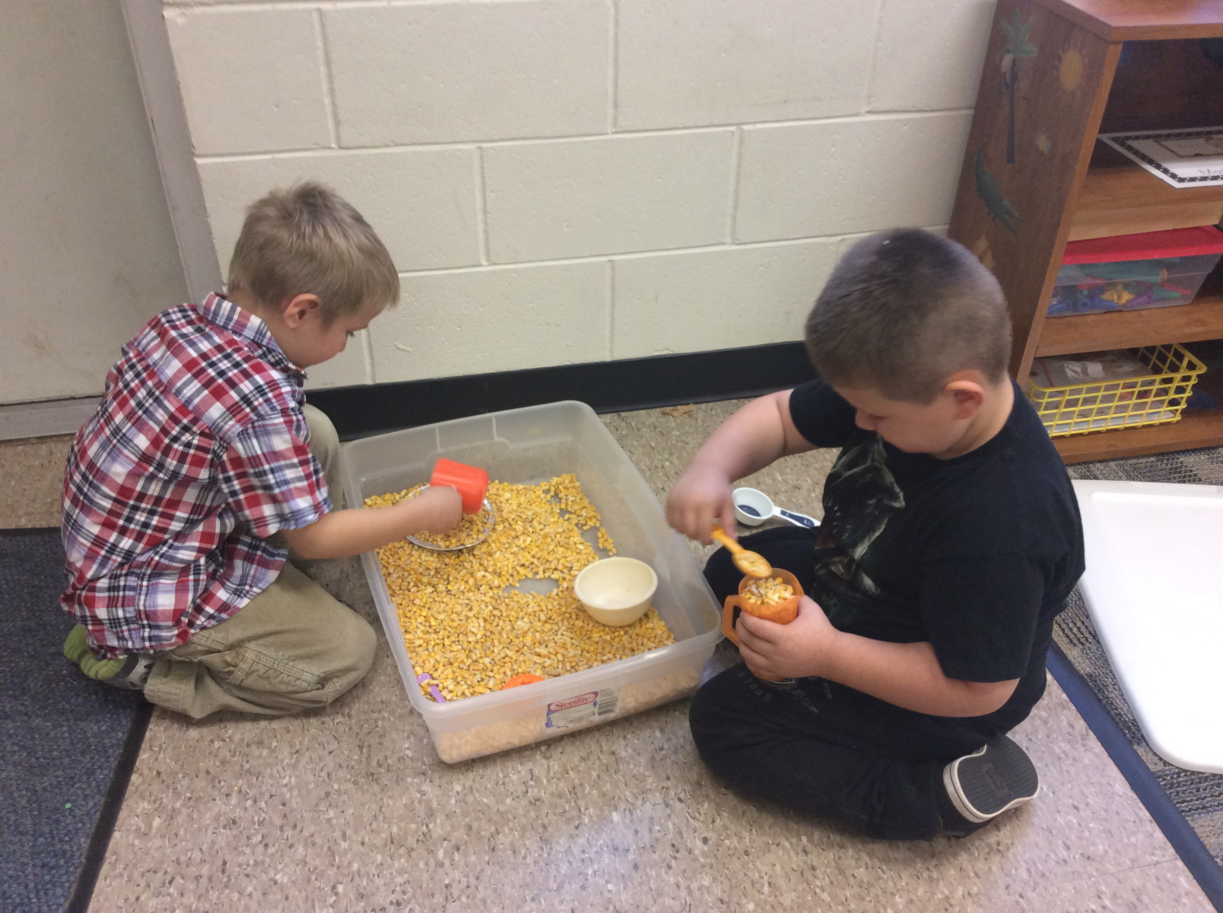 Scooping and pouring corn.