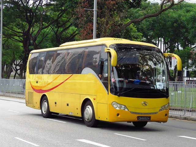 bus.jpg