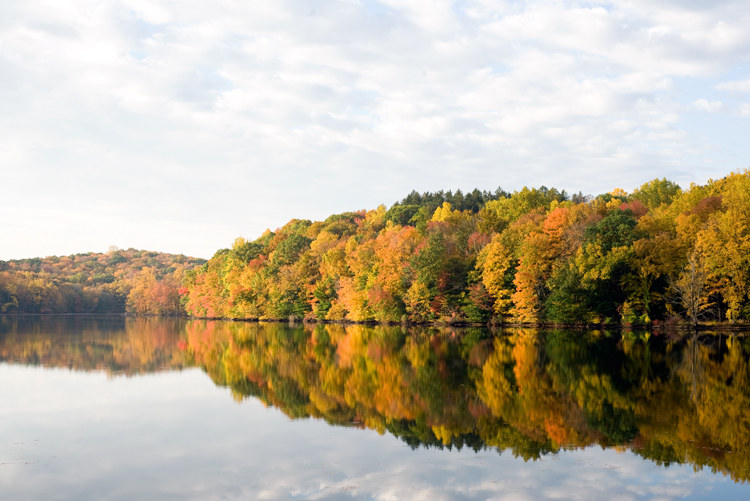 SHOOTING_REFLECTIONS_03.jpg