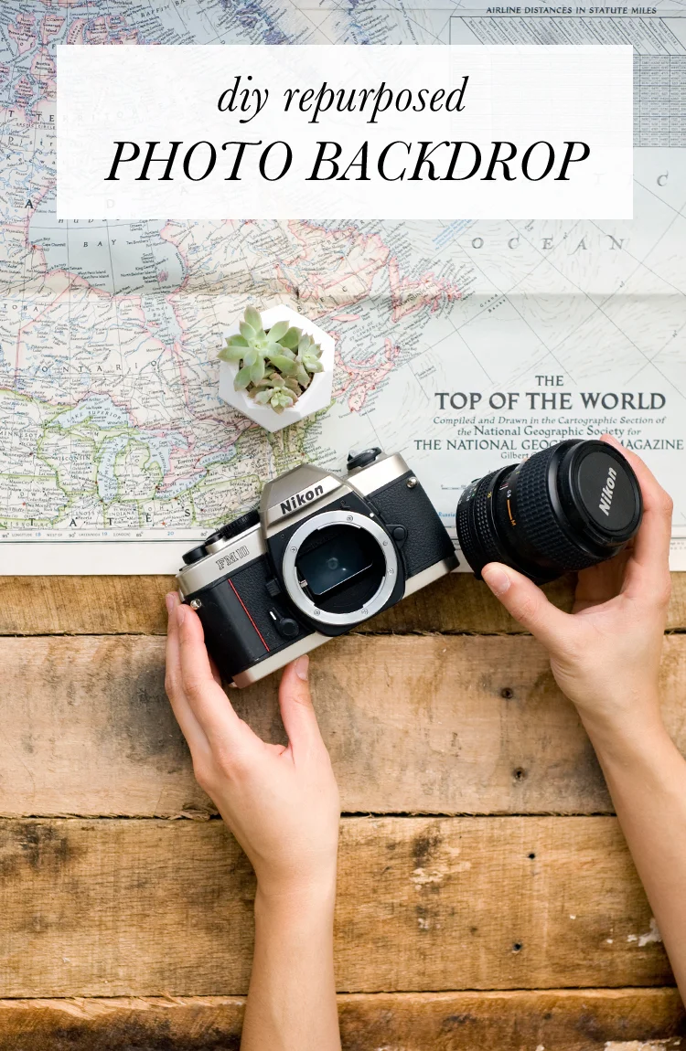 elah-tree-photography-business-tips.jpg