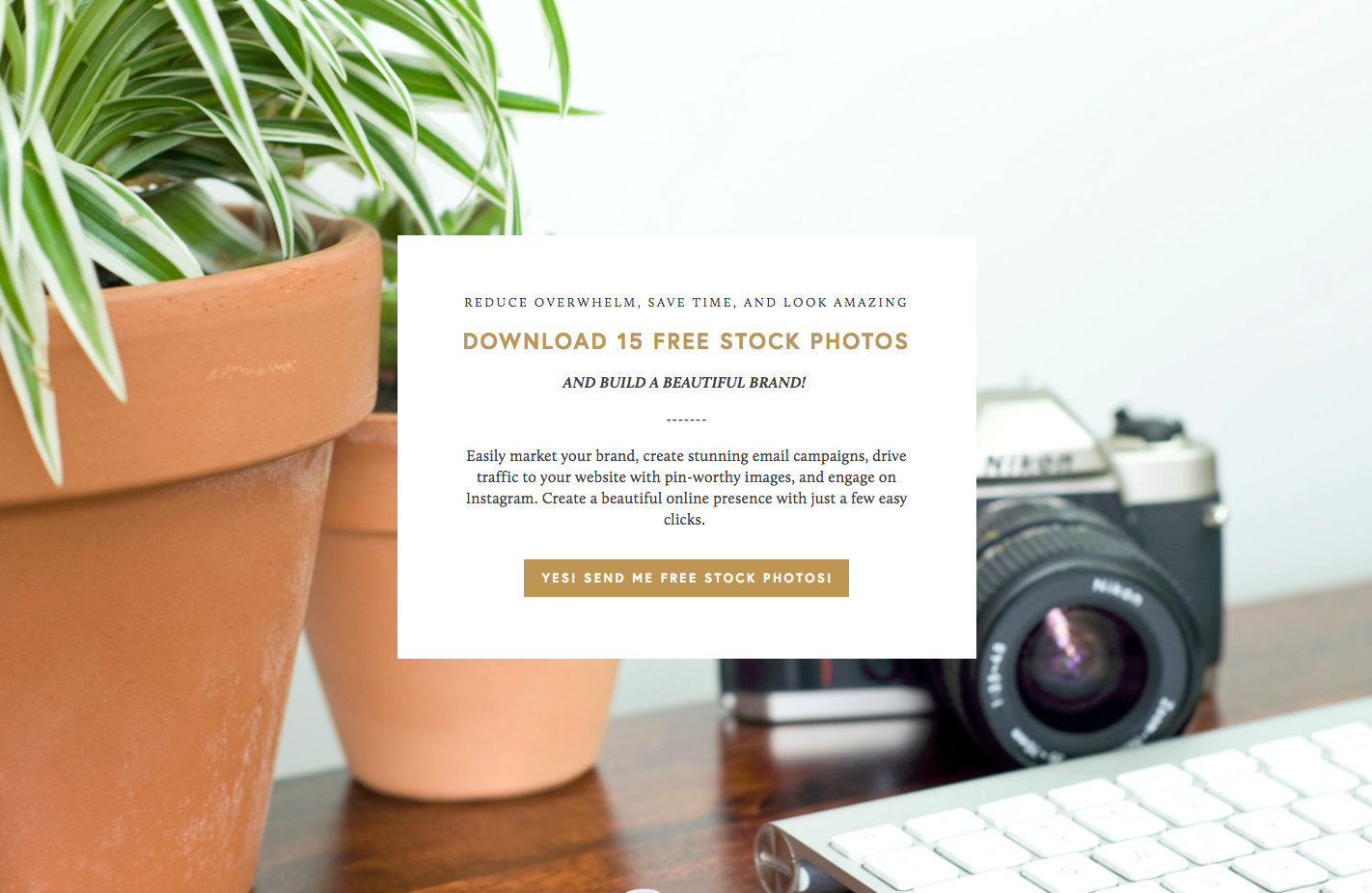 how-to-grow-your-email-list-03.png