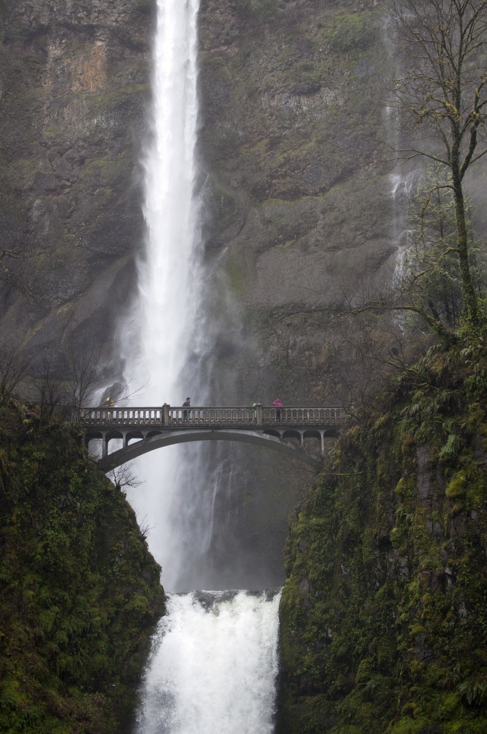 Portland-Multnomah-Falls_12.jpg