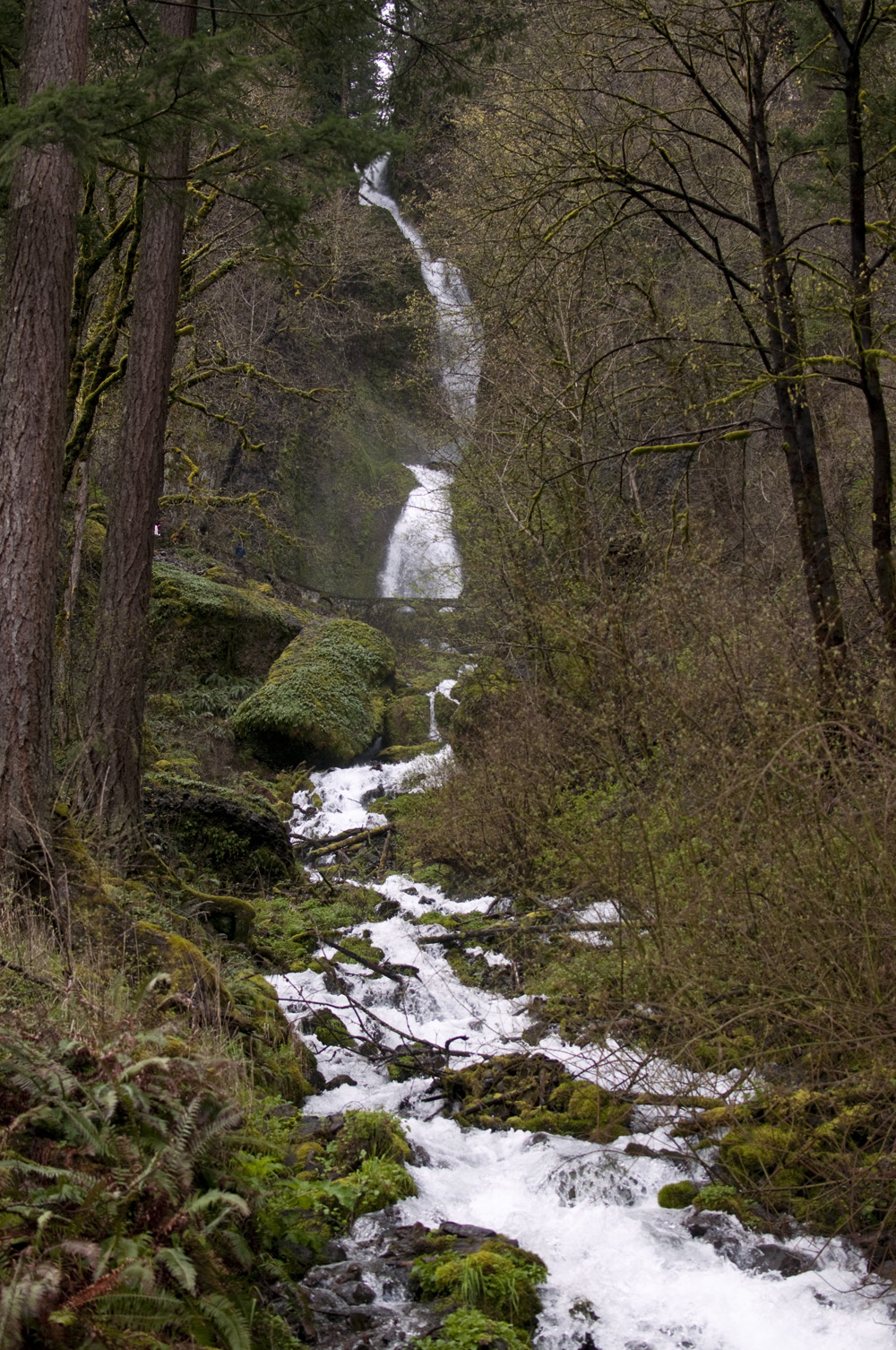 Portland-Multnomah-Falls_17.jpg