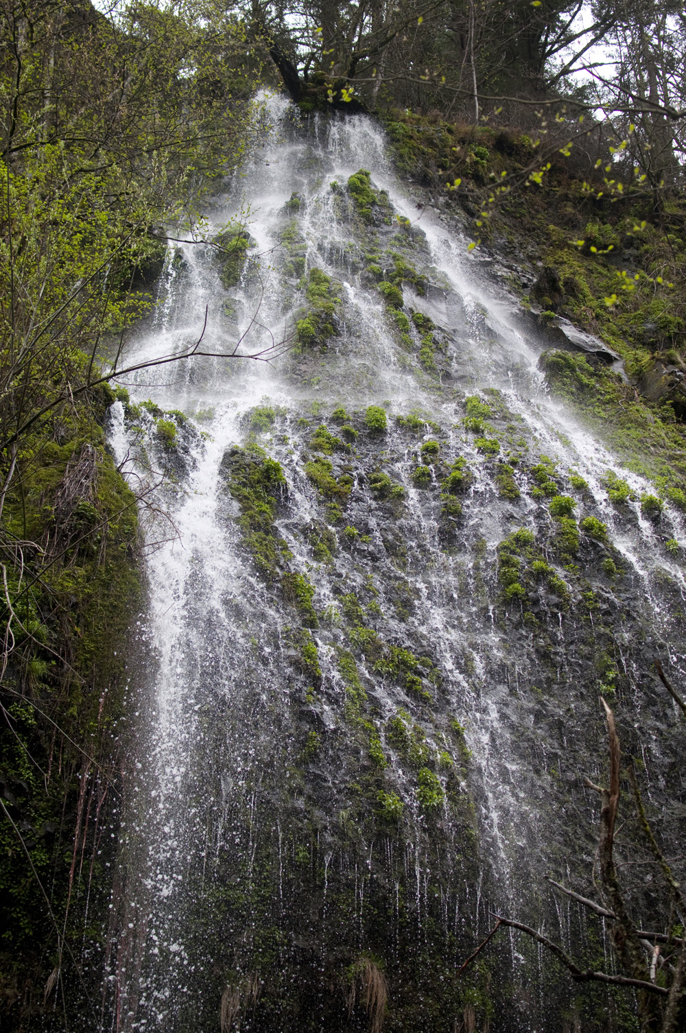 Portland-Multnomah-Falls_19.jpg