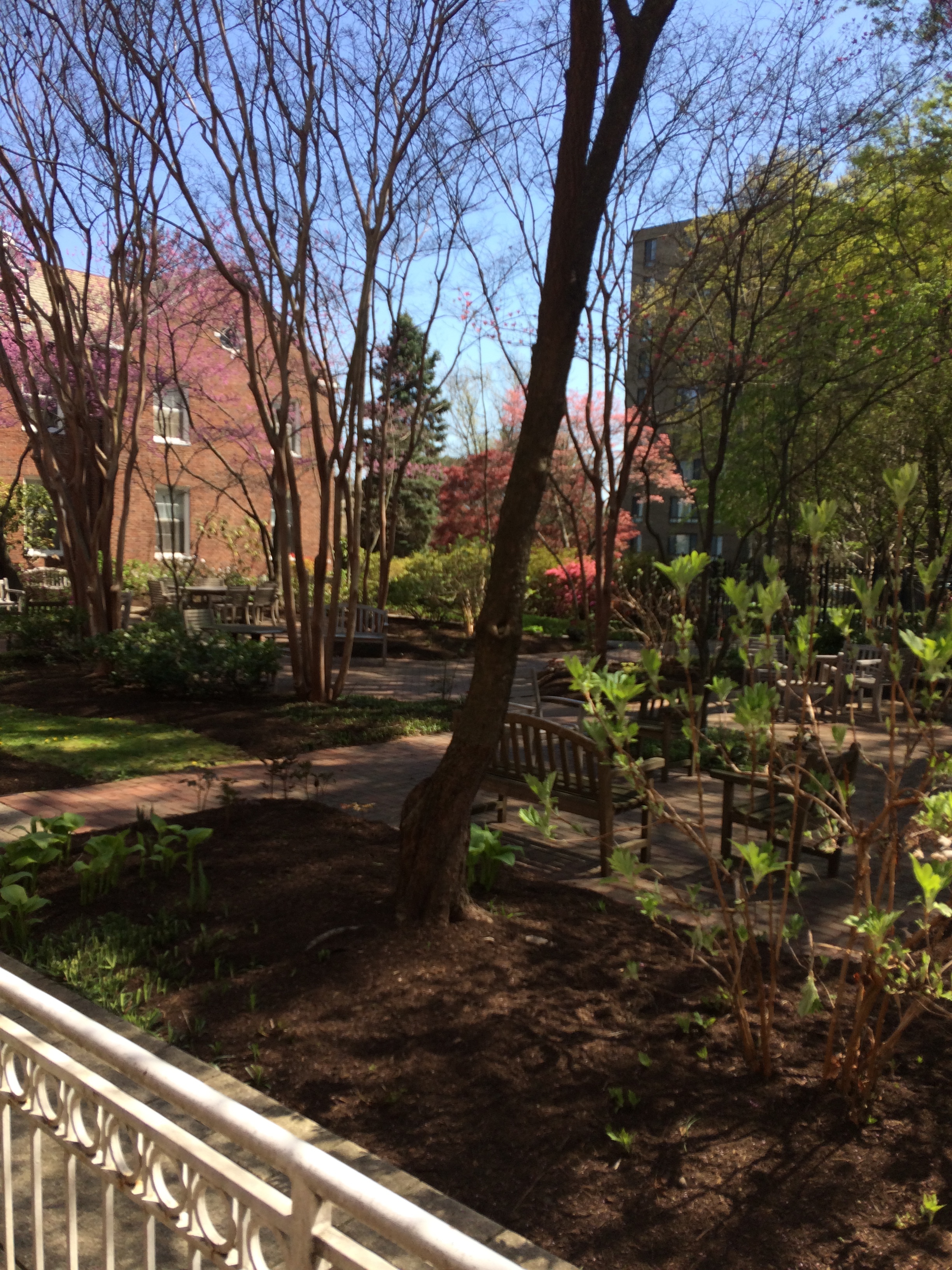 The courtyard at Forest Hills of DC