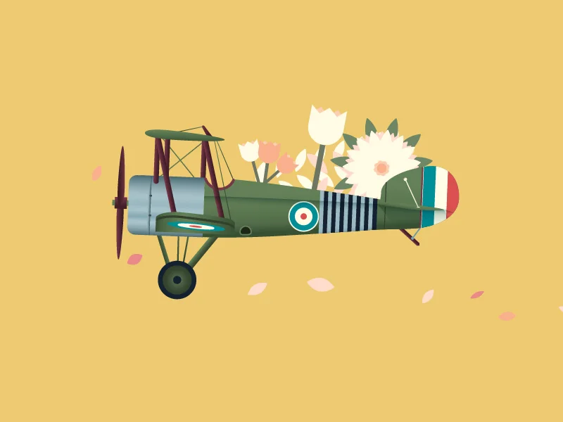 plane.jpg