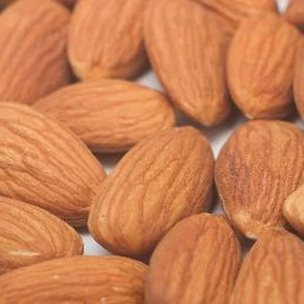 Healthy Snack List | For Food Sensitivities