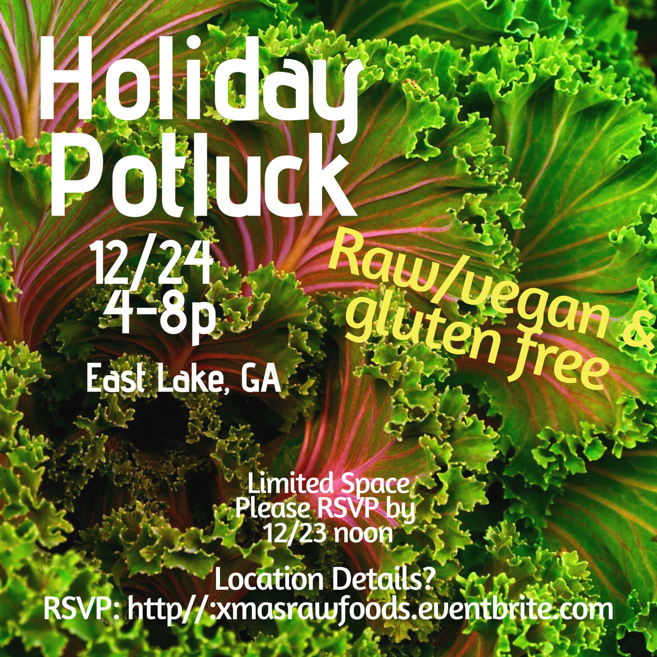 Xmas Eve Potluck: Rawfoods-Vegan