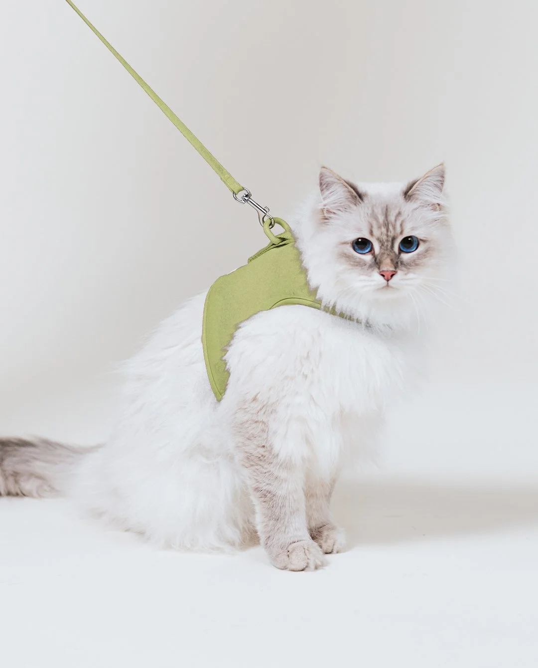 Romp_Lifestyle_Green-2.jpg