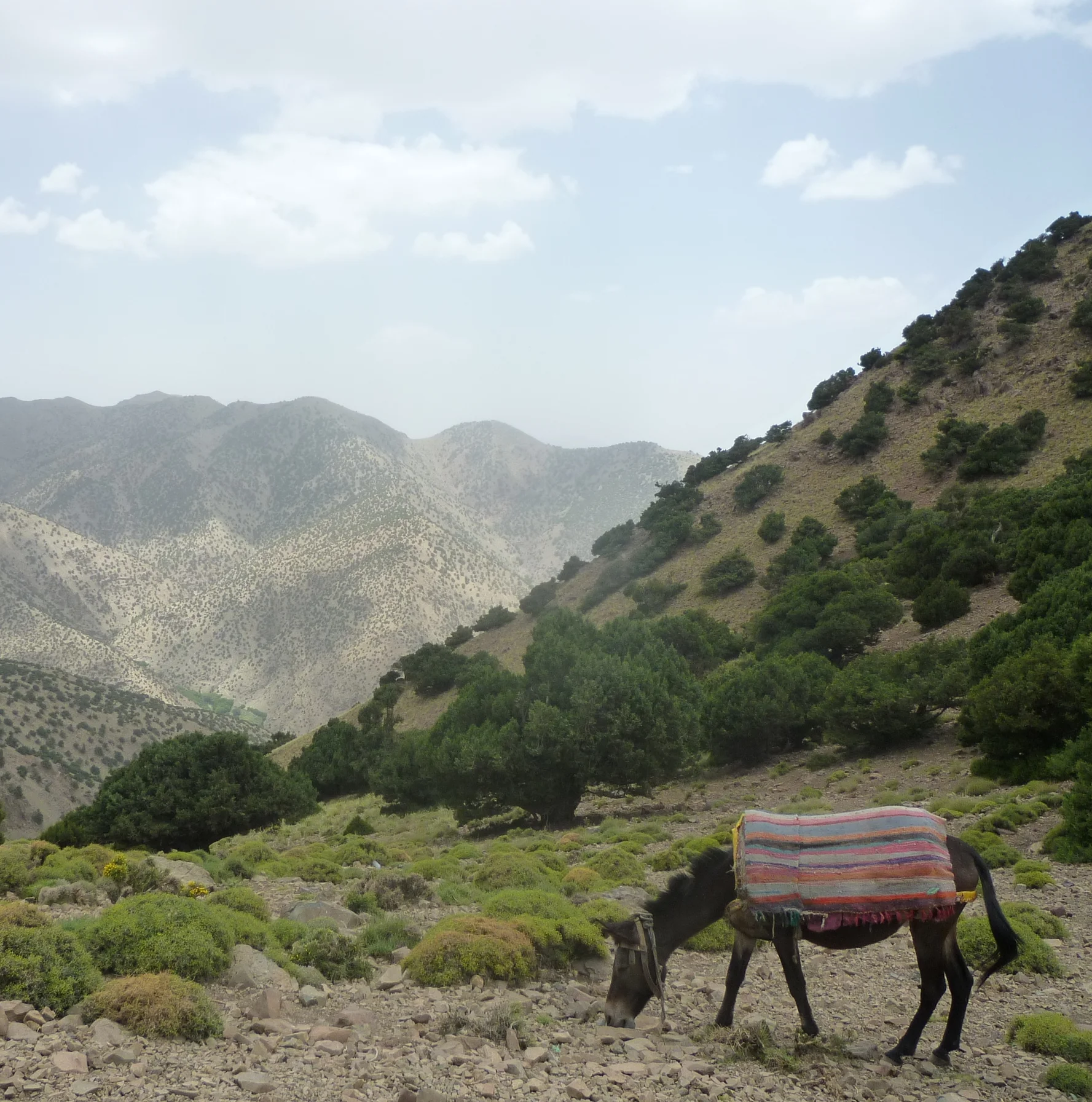 _Atlas Mountains_04.JPG