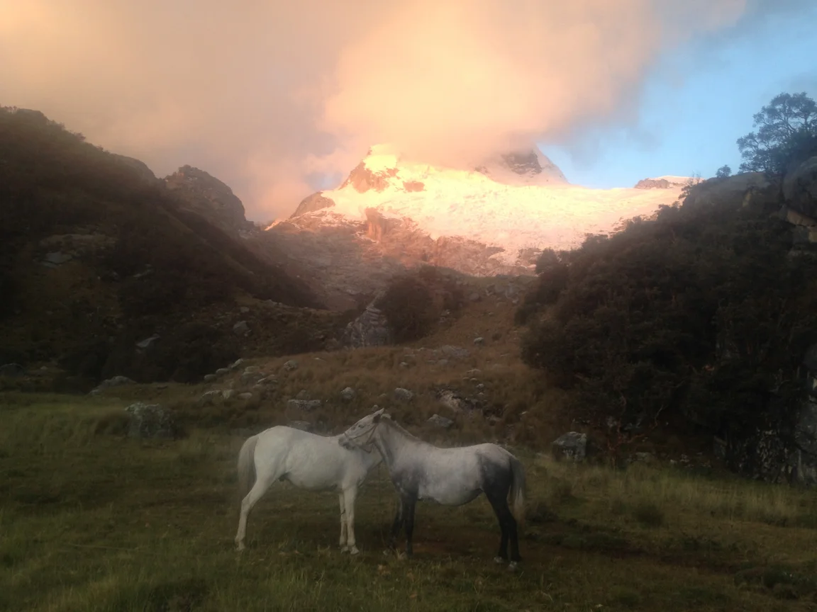 Huaraz_Horses.jpg