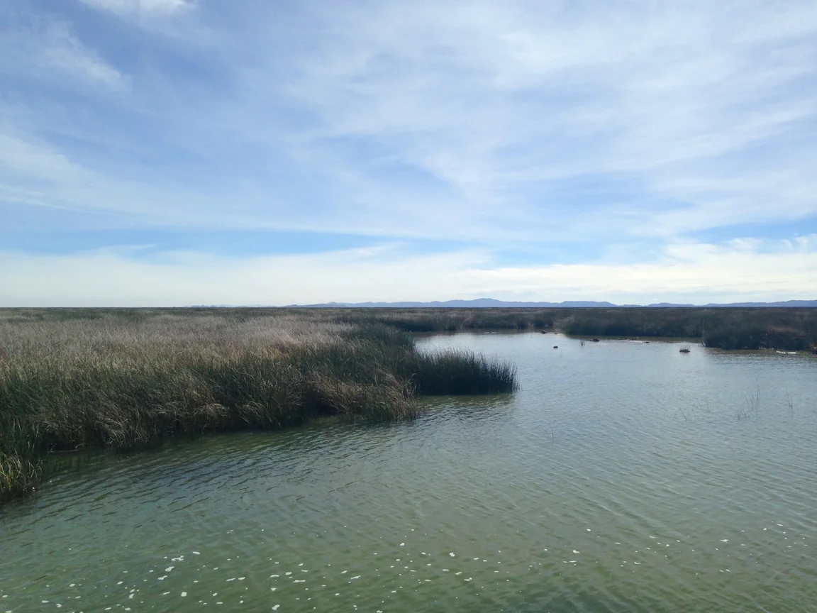 Lake Titicaca.jpg