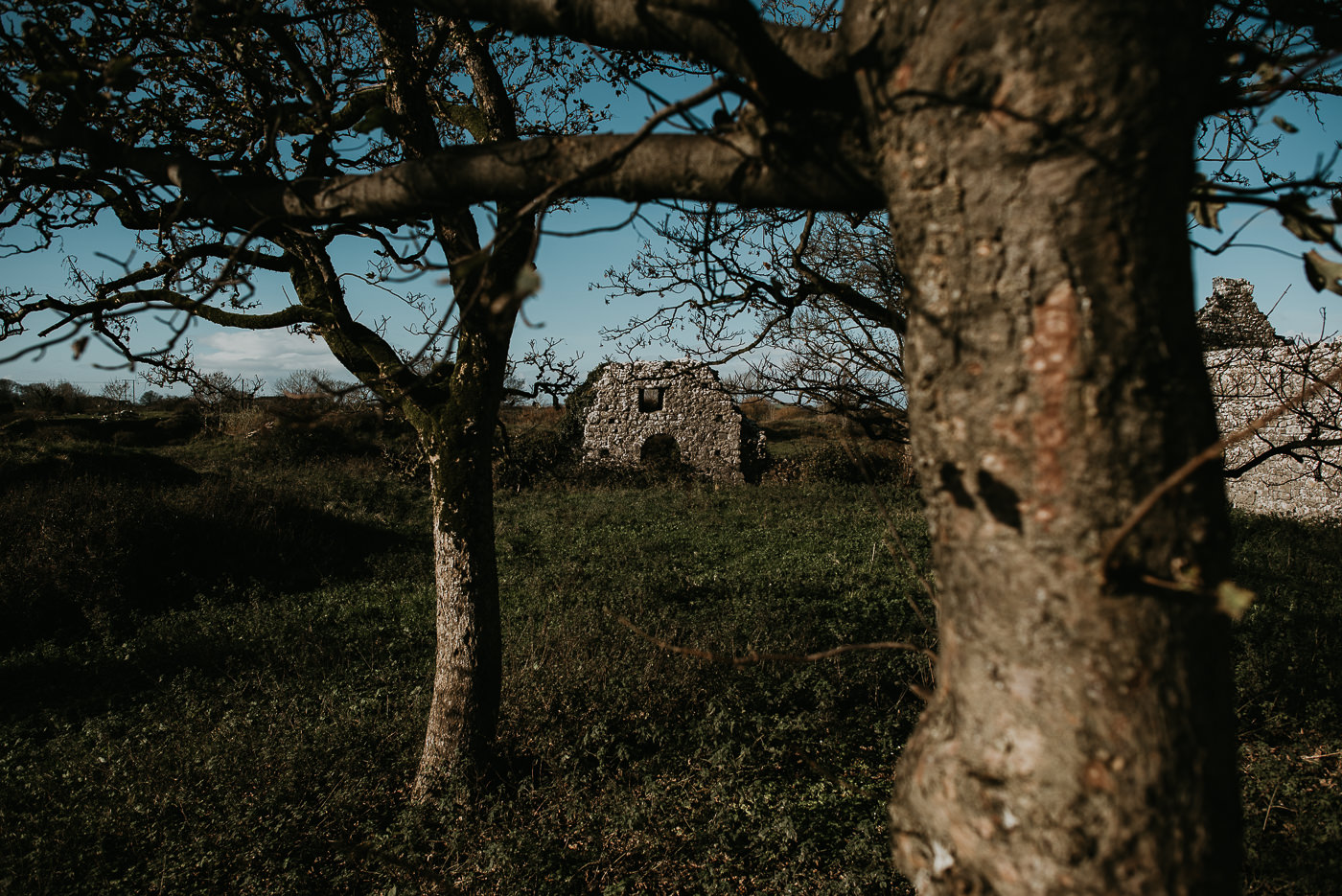 Blarney Castle - Ireland - Ireland Wedding Photographer - Traveling Wedding Photographer - Giant's Causeway - Benbulbin - UK Wedding Photographer - London Wedding Photographer - Travel Photography - Kilkenny Castle - Sligo - Claregalway Friary - Dub