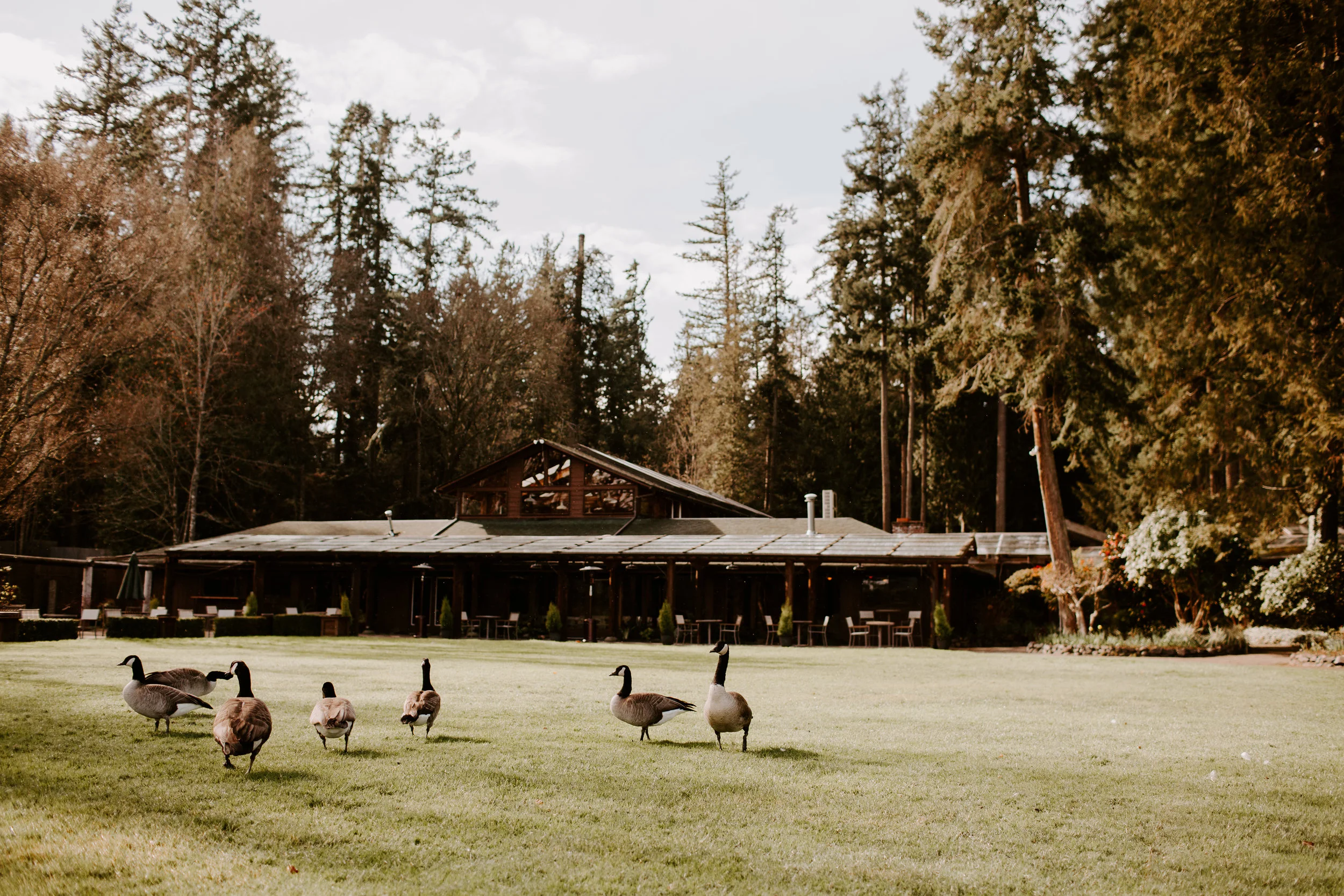 Kiana Lodge Wedding Photographer - Seattle Wedding Photographer - Poulsbo Wedding Photographer - Portland Wedding Photographer - Tacoma Wedding Photographer - Olympic National Park Wedding Photographer - Olympic Peninsula Wedding Photographer - Seattle Elopement Photographer - Seattle Engagement Photographer - PNW Wedding Photographer - PNW Elopement Photographer - Olympic National Park Elopement Photographer - Kitsap Wedding Photographer - Winter Wedding - Moody Wedding Photographer - Photojournalist Wedding Photographer - Documentary Style Wedding Photographer - Adventure Wedding Photographer - Adventure Elopement Photographer - Adventure Couples Photographer - Destination Wedding Photographer