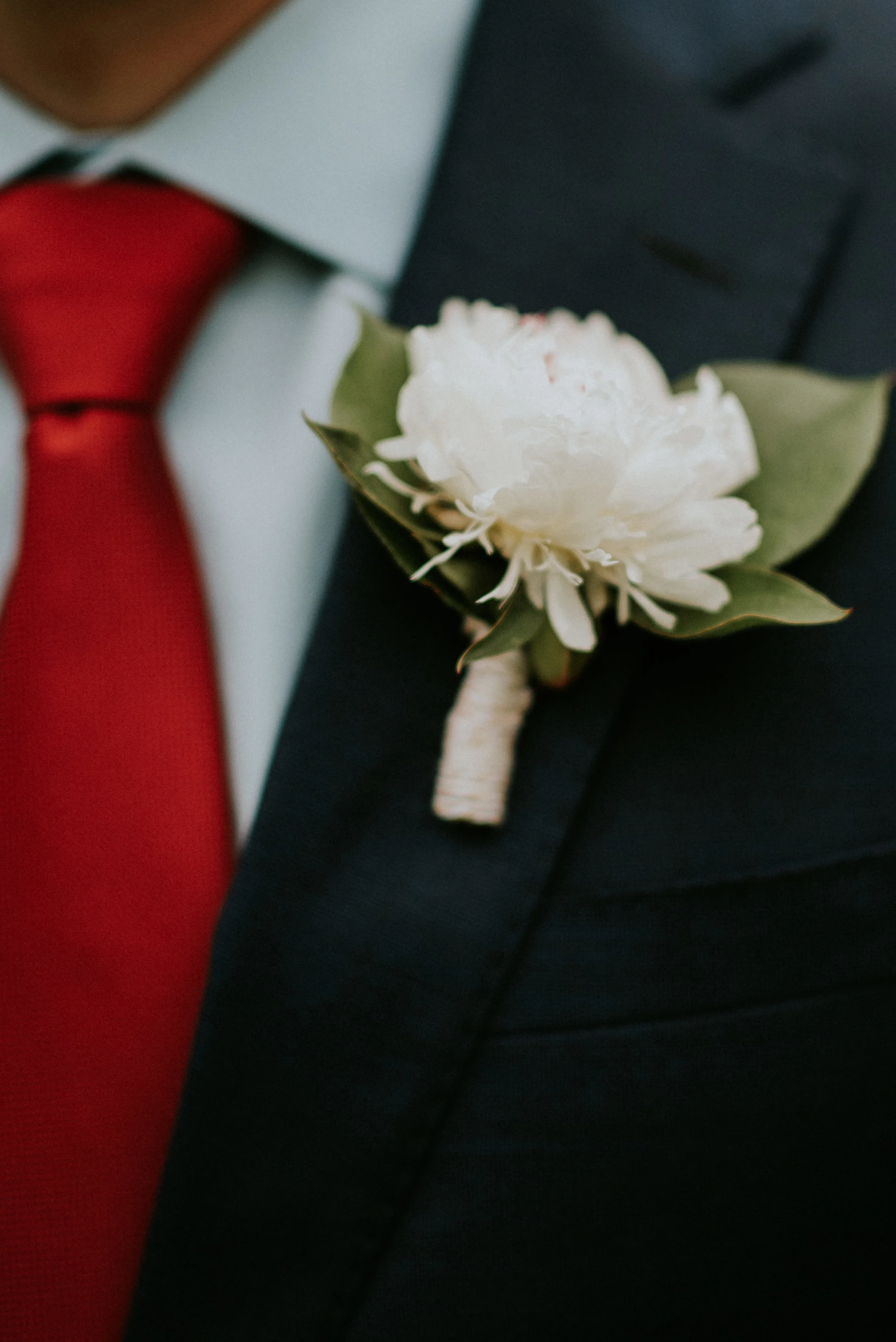 Danielle + Scott - Wes Anderson Inspired Elopement - Seattle Elopement Photographer - Kamra Fuller Photography - Seattle Wedding Photographer - Seattle Intimate Wedding Photographer - Mt. Rainier Elopement Photographer - Mt. Baker Elopement Photographer - North Cascades Intimate Wedding Photographer - Portland Wedding Photographer - Oregon Coast Elopement Photographer - Bellevue Elopement Photographer - Las Vegas Elopement Photographer - Oregon Intimate Wedding Photographer - PNW Wedding Photographer - Kitsap Wedding Photographer - Hurricane Ridge Elopement Photographer - Port Angeles Wedding Photographer - Seattle Couple's Photographer - Seattle Engagement Photographer - Kimpton Palladian Hotel Wedding Photographer - Volunteer Park Elopement Photographer - Arizona Elopement Photographer