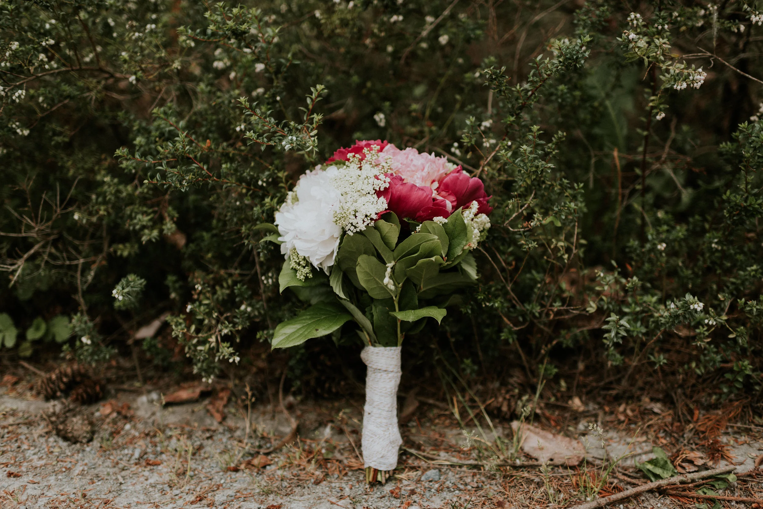 Danielle + Scott - Wes Anderson Inspired Elopement - Seattle Elopement Photographer - Kamra Fuller Photography - Seattle Wedding Photographer - Seattle Intimate Wedding Photographer - Mt. Rainier Elopement Photographer - Mt. Baker Elopement Photographer - North Cascades Intimate Wedding Photographer - Portland Wedding Photographer - Oregon Coast Elopement Photographer - Bellevue Elopement Photographer - Las Vegas Elopement Photographer - Oregon Intimate Wedding Photographer - PNW Wedding Photographer - Kitsap Wedding Photographer - Hurricane Ridge Elopement Photographer - Port Angeles Wedding Photographer - Seattle Couple's Photographer - Seattle Engagement Photographer - Kimpton Palladian Hotel Wedding Photographer - Volunteer Park Elopement Photographer - Arizona Elopement Photographer