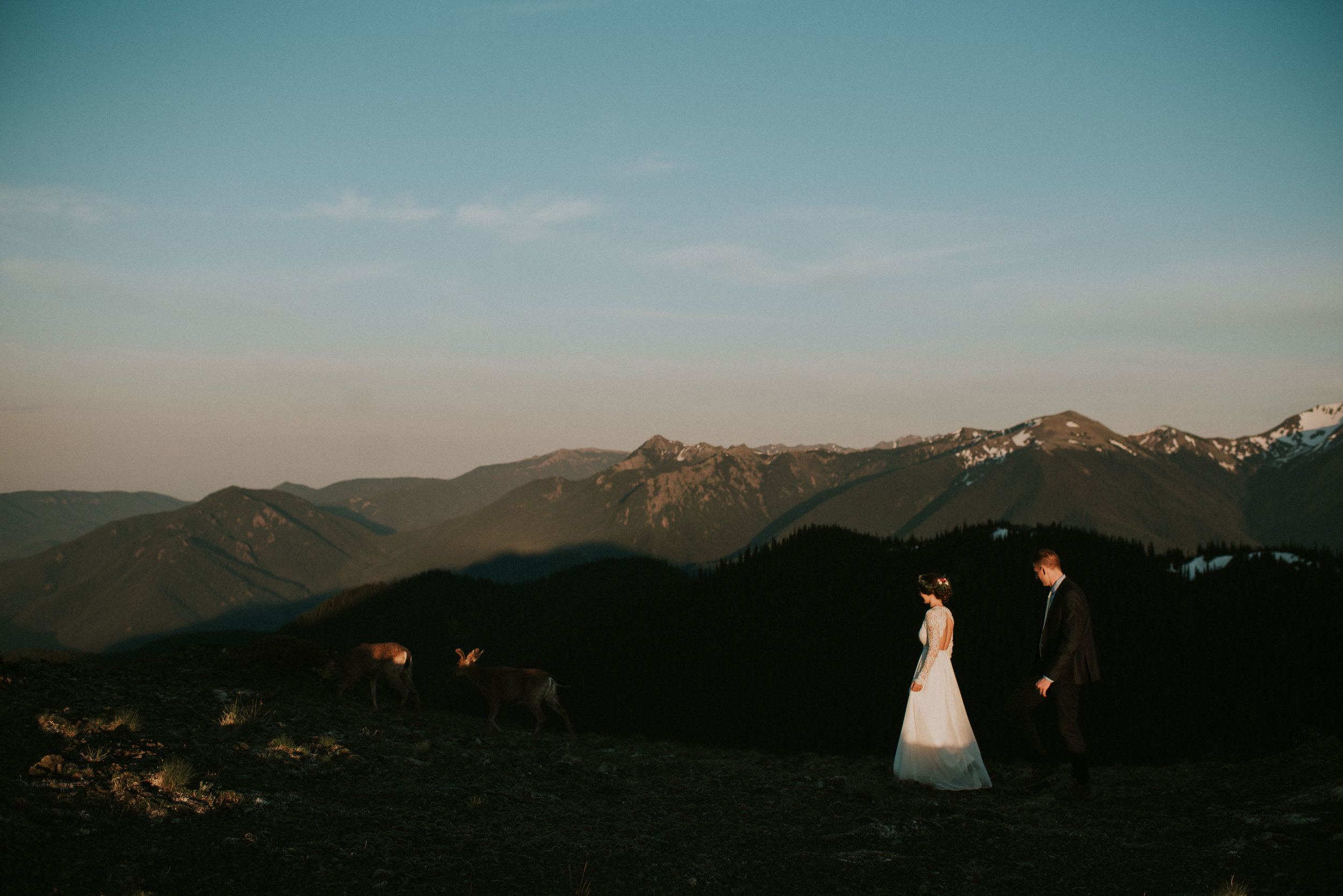  Kamra Fuller Photography - Olympic National Park Elopement Photographer - Olympic National Forest Wedding Photographer - Port Angeles Wedding Photographer - Seattle Elopement Photographer - Hawaii Wedding Photographer - Seattle Wedding Photographer 