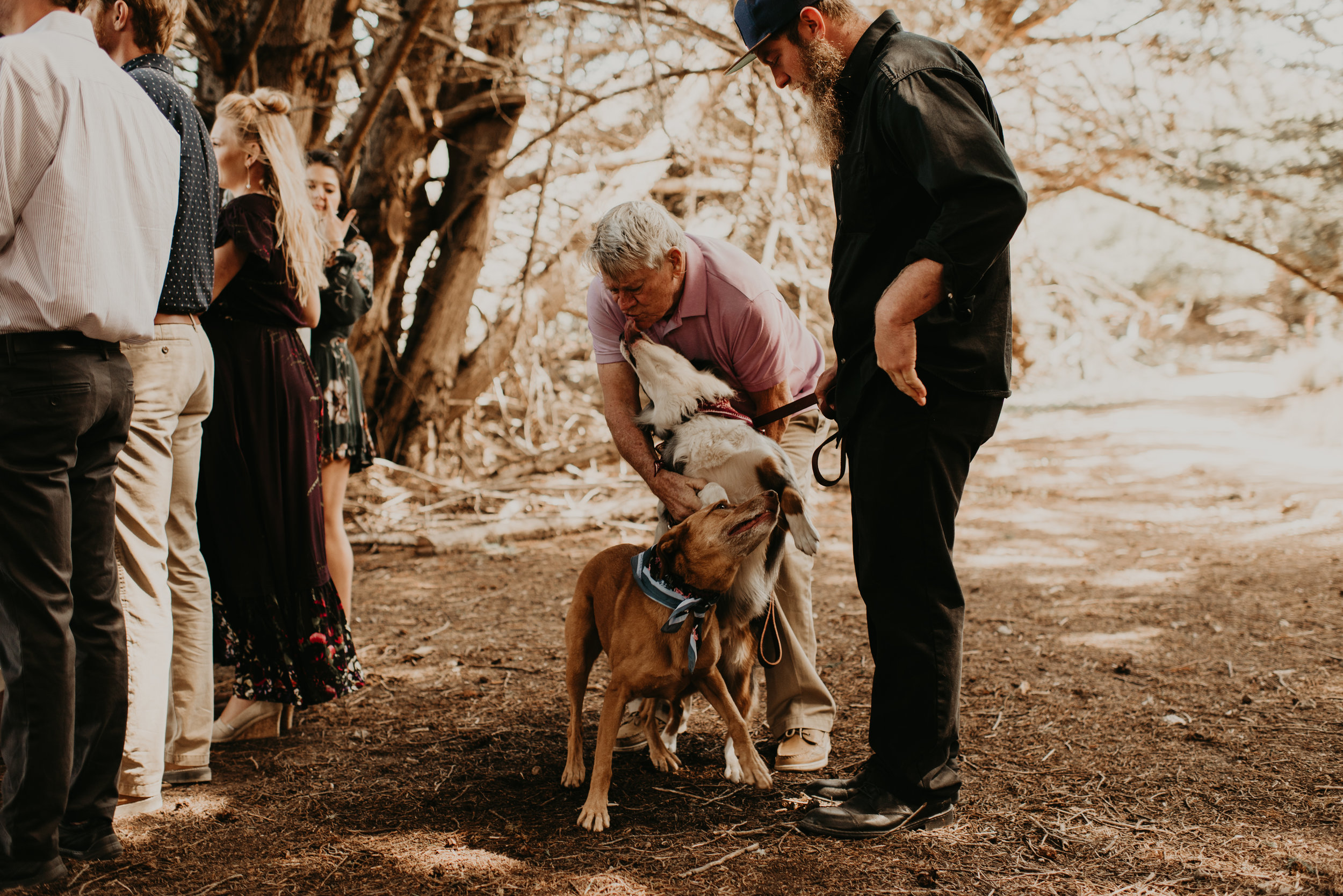 Joanna + Brian West Coast Intimate Adventure Wedding in Big Sur, CA by Seattle Wedding Photographer Kamra Fuller Photography