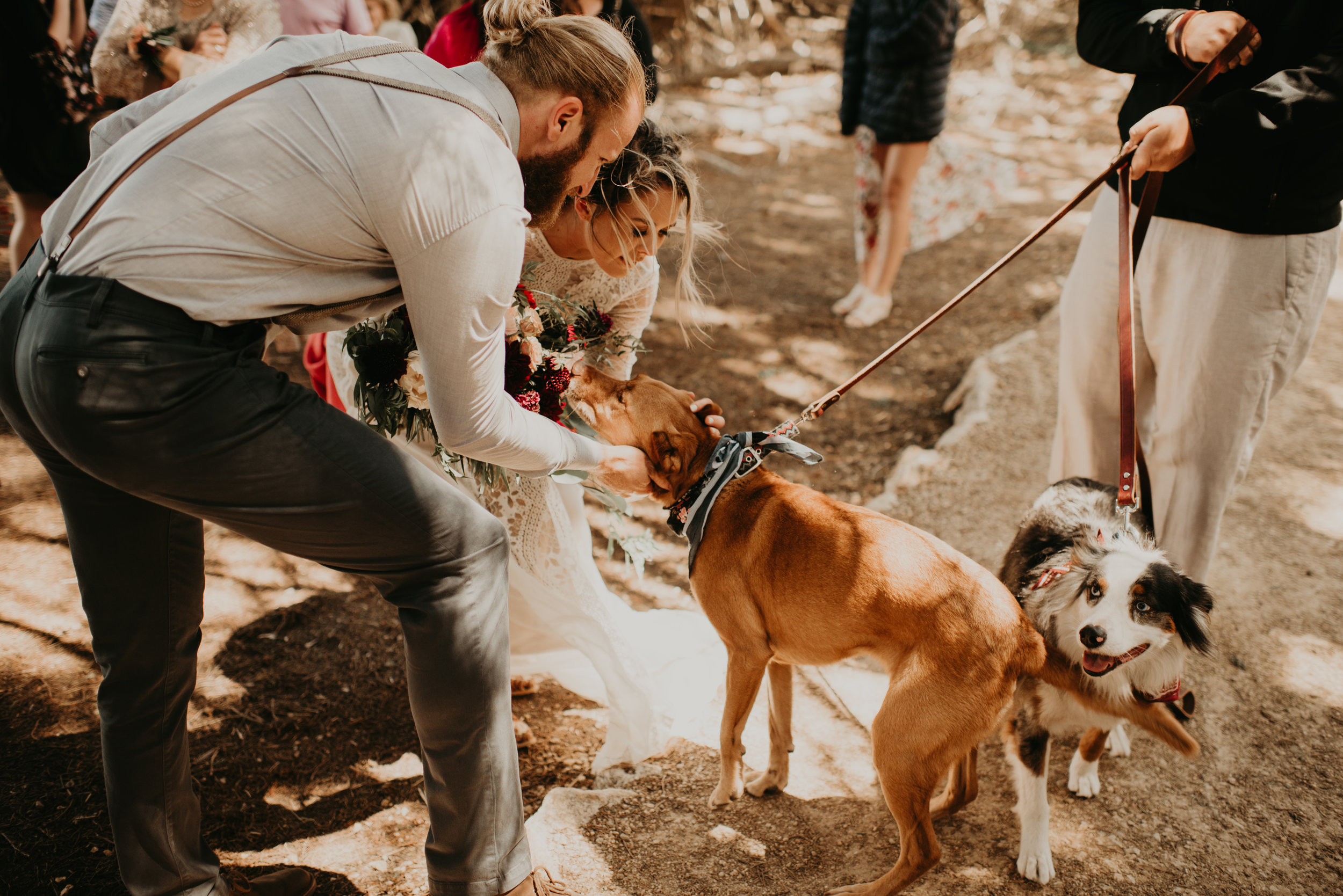 Joanna + Brian West Coast Intimate Adventure Wedding in Big Sur, CA by Seattle Wedding Photographer Kamra Fuller Photography