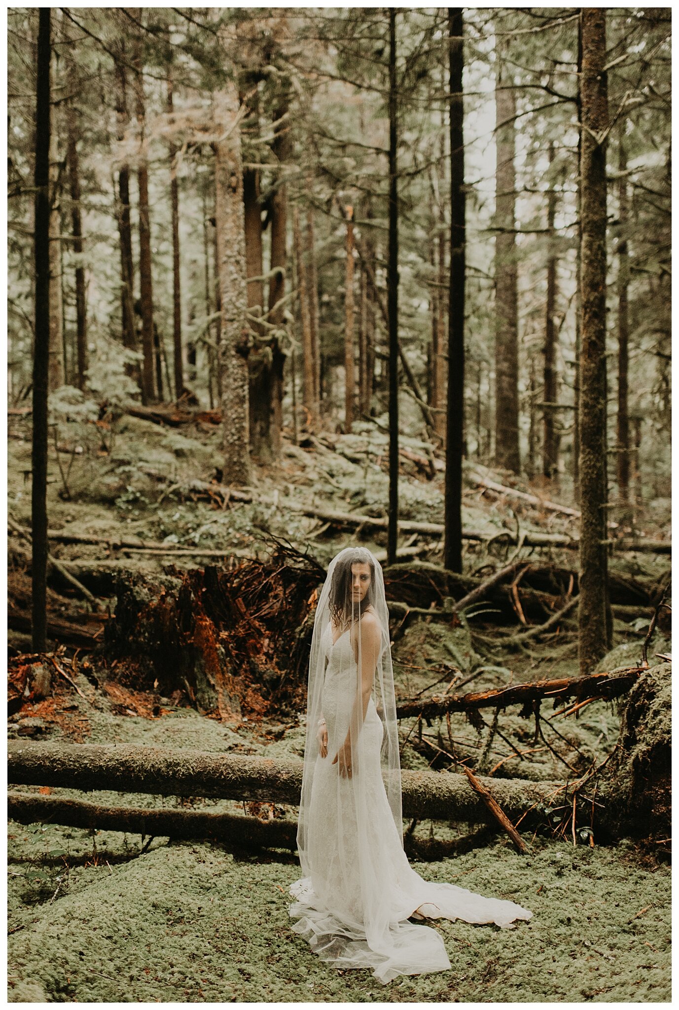 Alexandra + Alan's Mt. Rainier Elopement at Copper Creek Inn and Longmire Bridge by Seattle Wedding Photographer, Kamra Fuller Photography