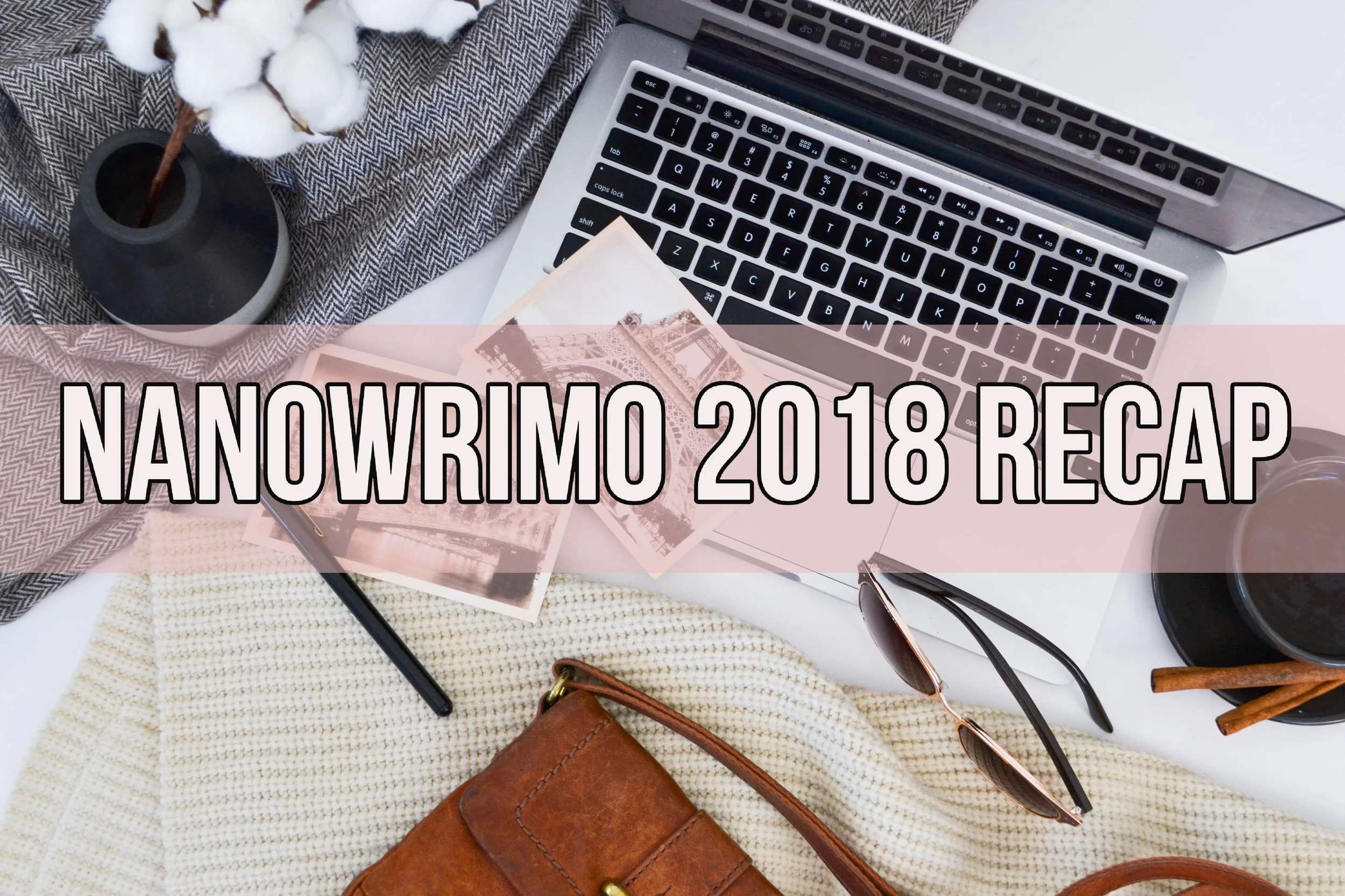 nanowrimo recap.jpg