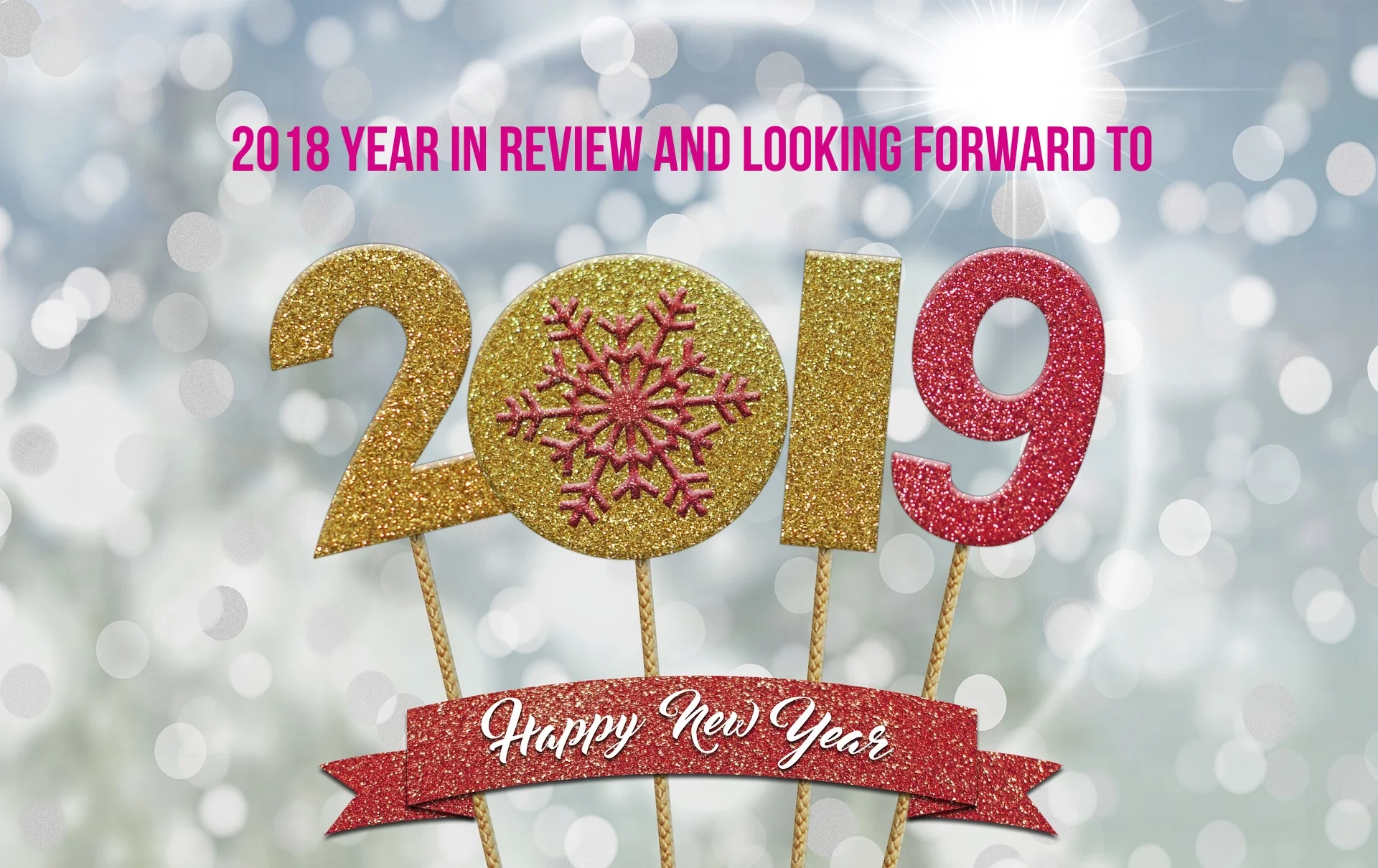2018 in review.jpg
