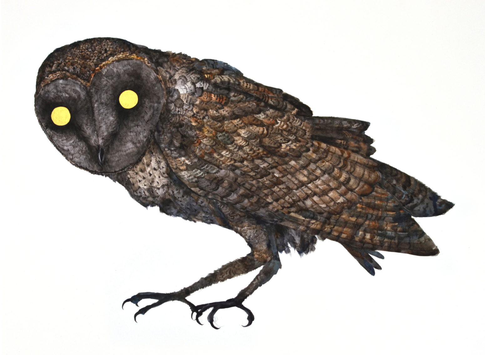 Screen Shot 2021-05-21 at 8.20.41 pm.png