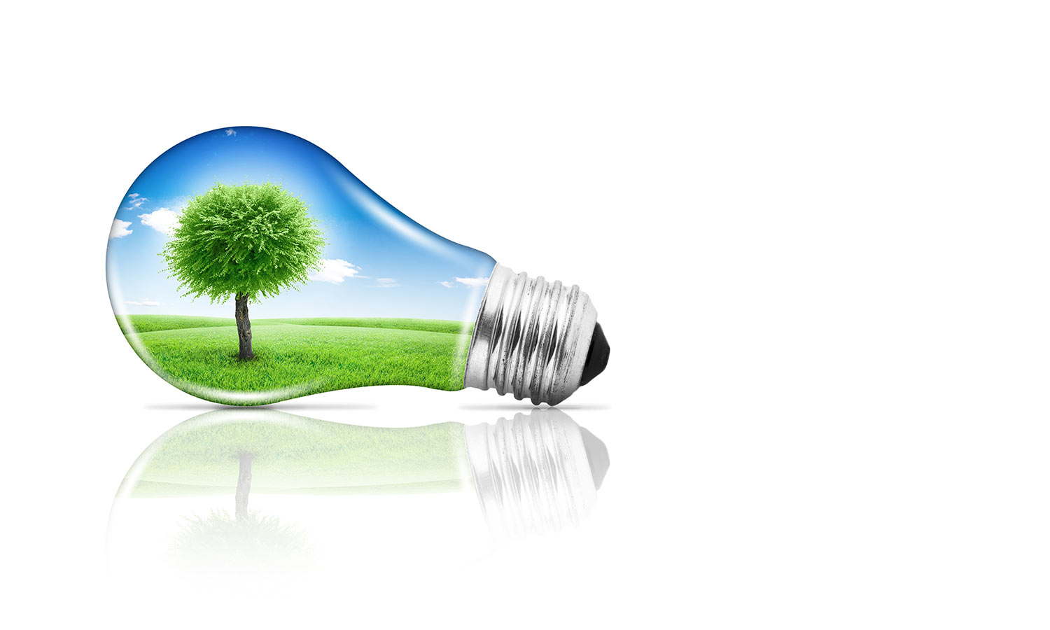 2019-GCSLS-lightbulb-banner-695x265.jpg