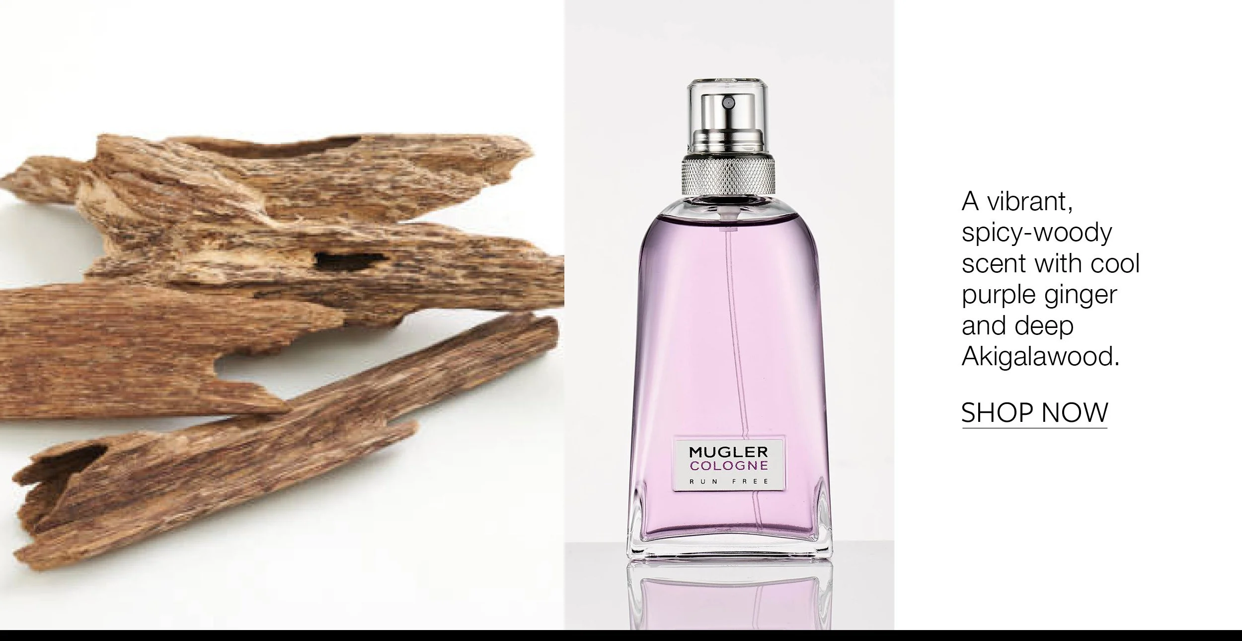 6 BeautyFragrances4.jpg