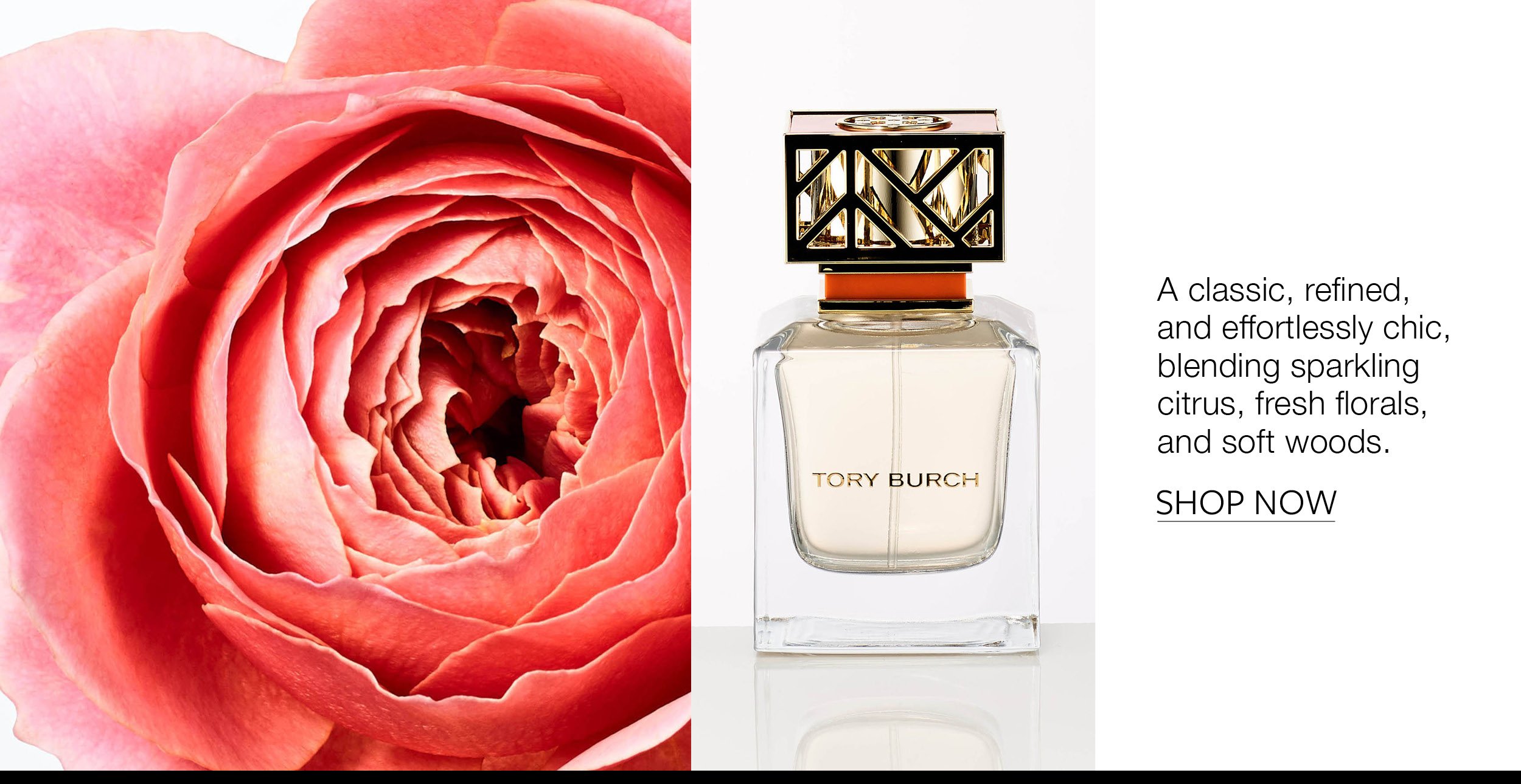 8 BeautyFragrances6.jpg
