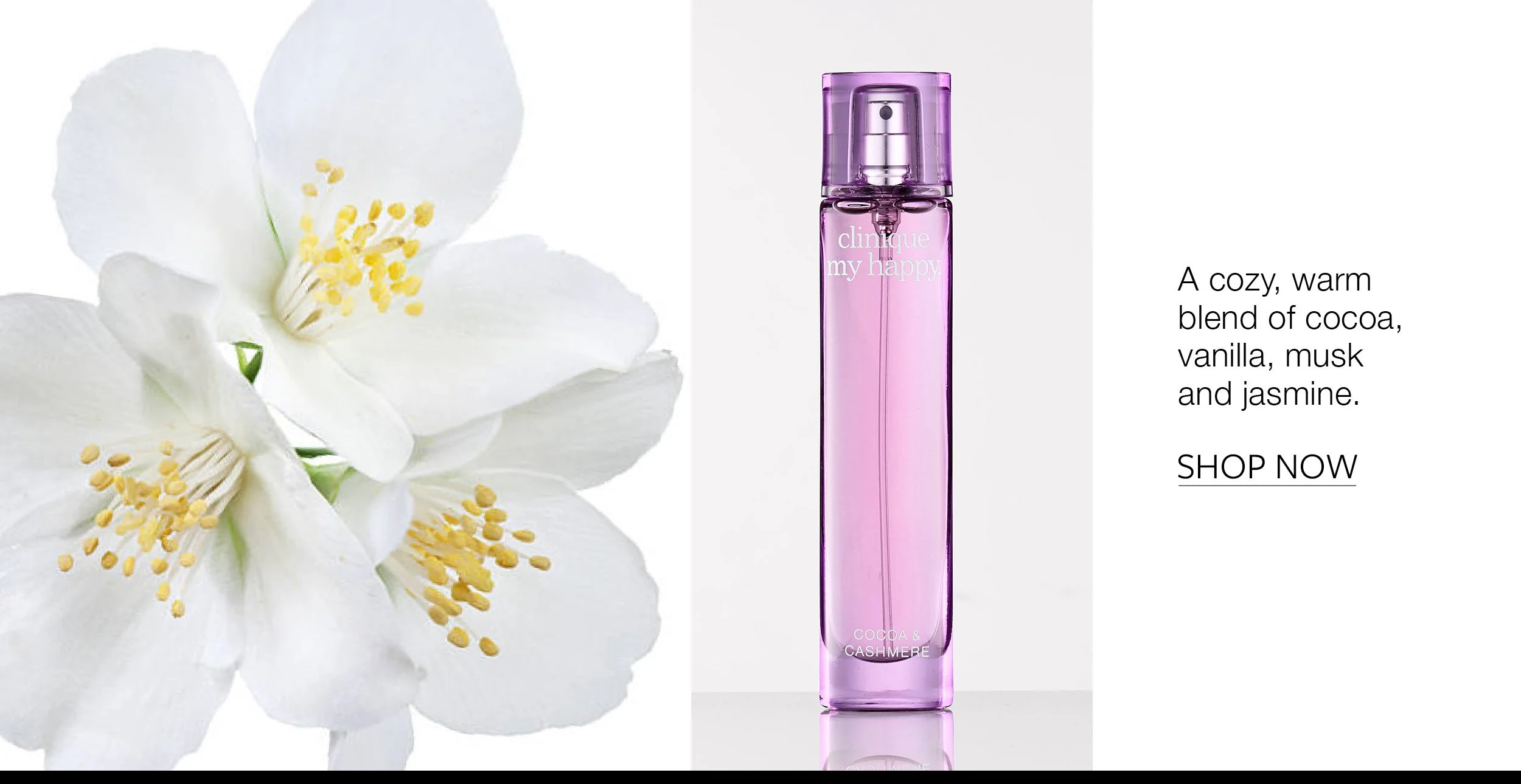 4 BeautyFragrances2.jpg