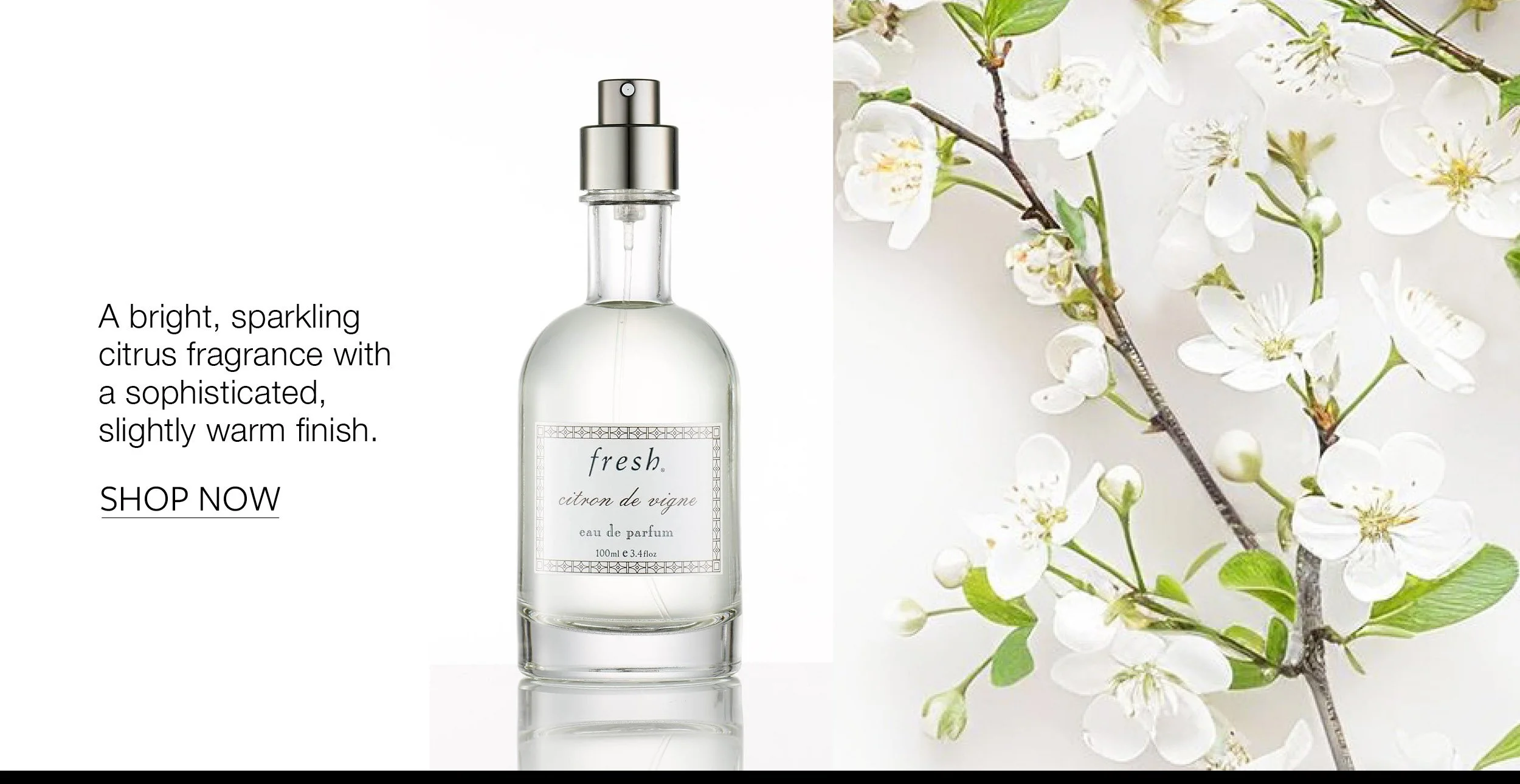 7 BeautyFragrances5.jpg