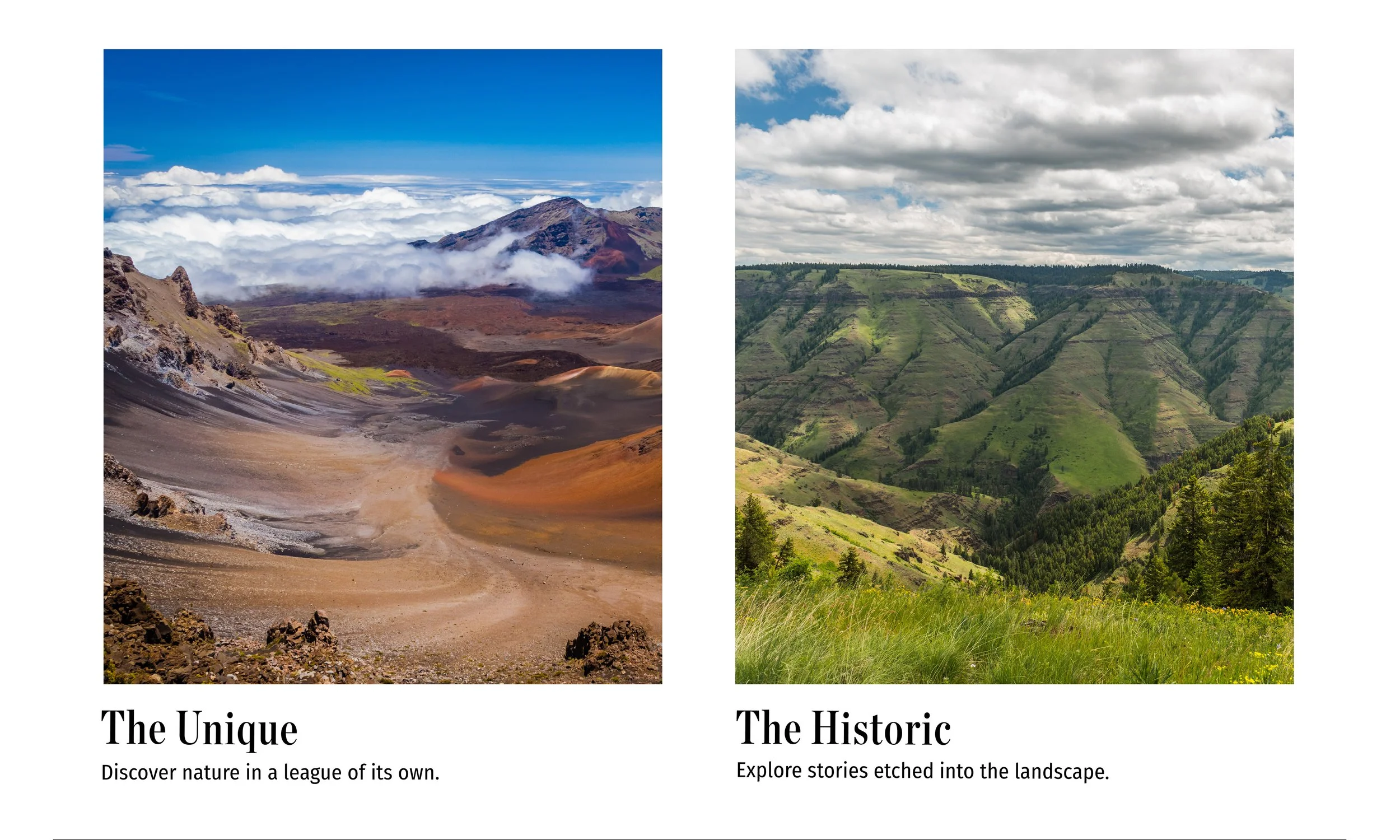 National Parks Web2.jpg