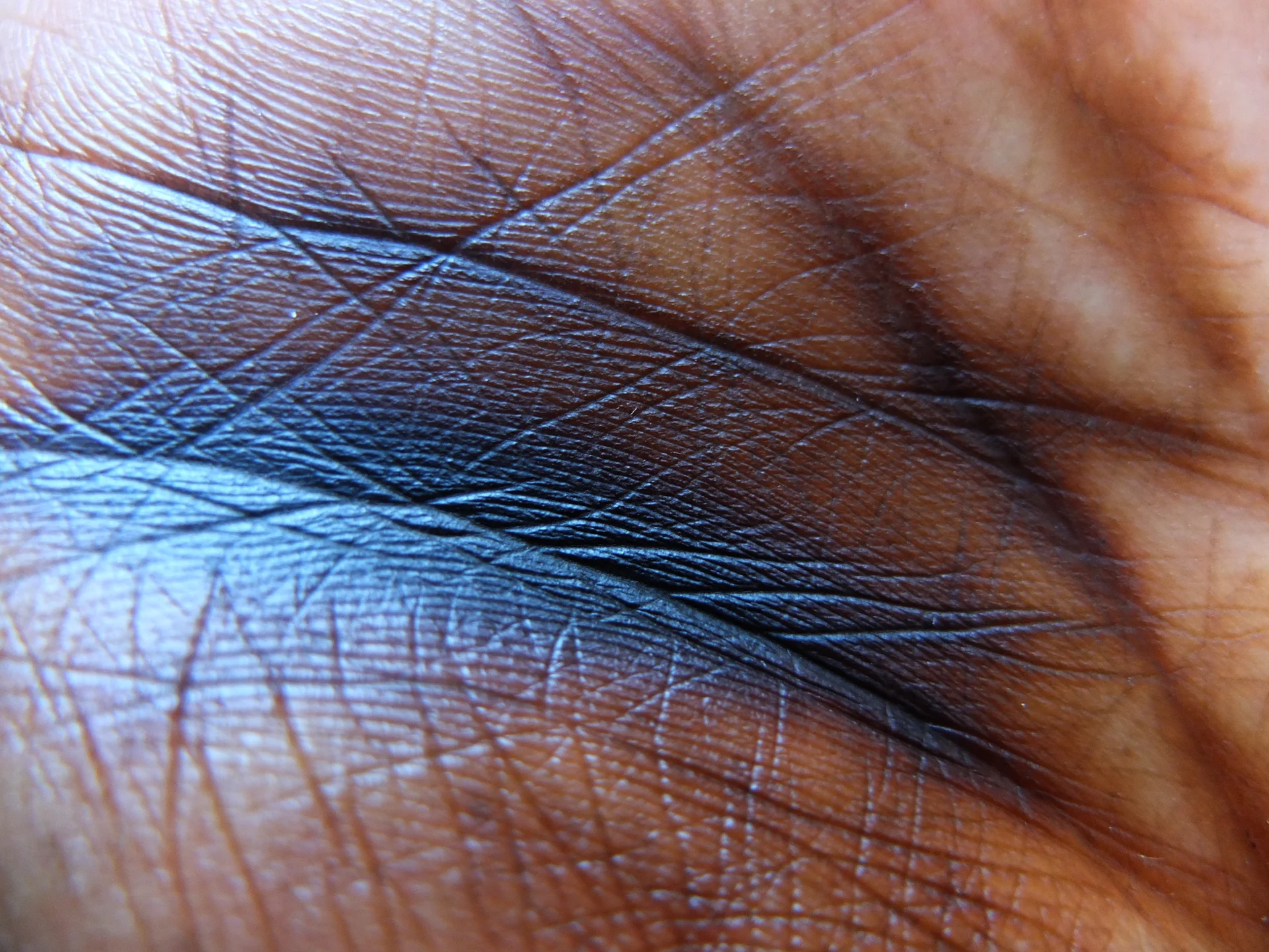 DSCF1460_web.jpg