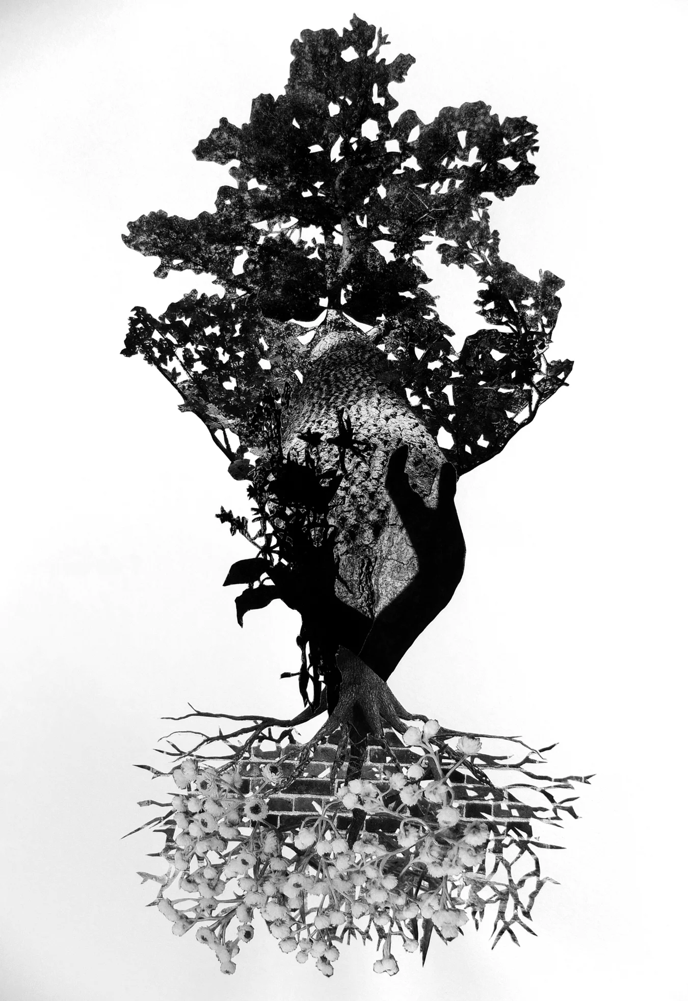 05ep2016blackoak.jpg