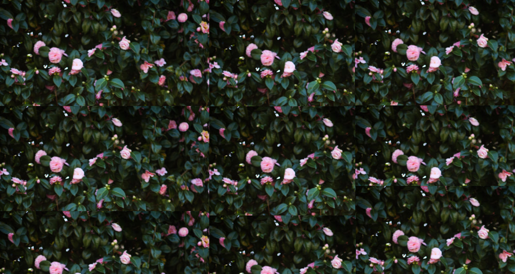 Desktop Landscape.png