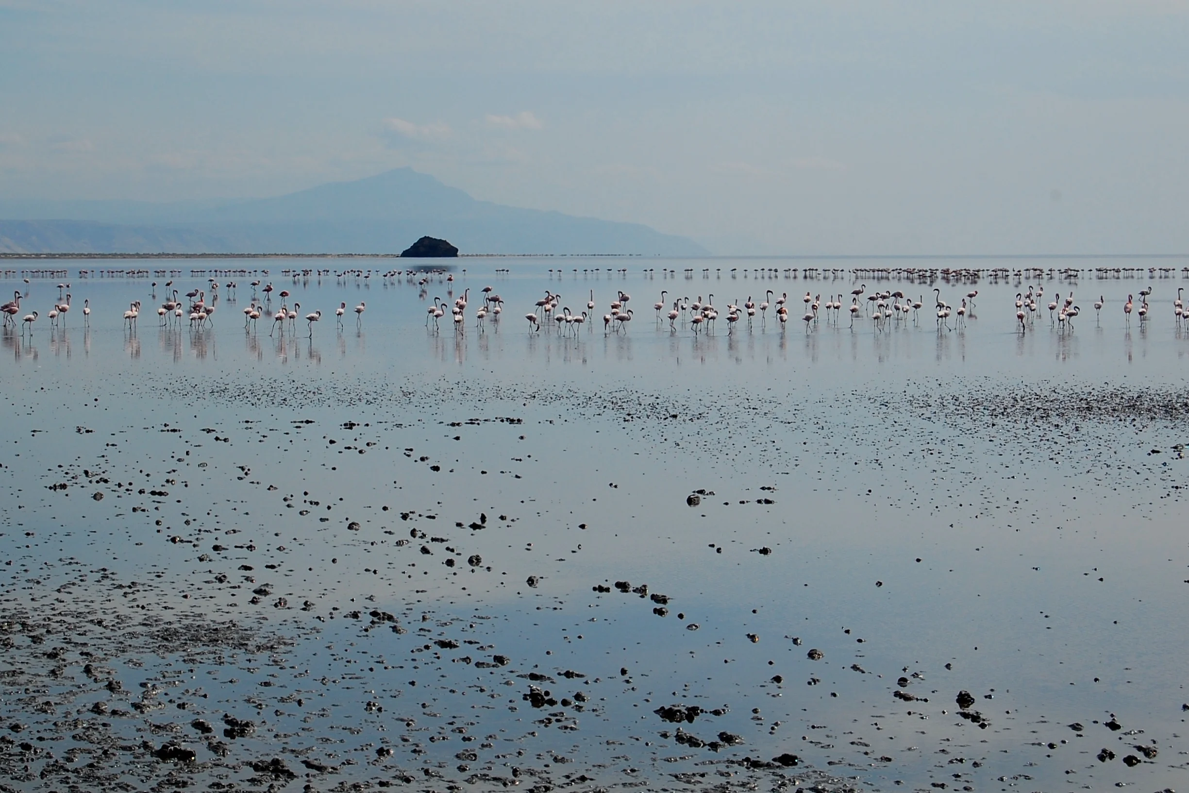 Lake Natron, Tanzania