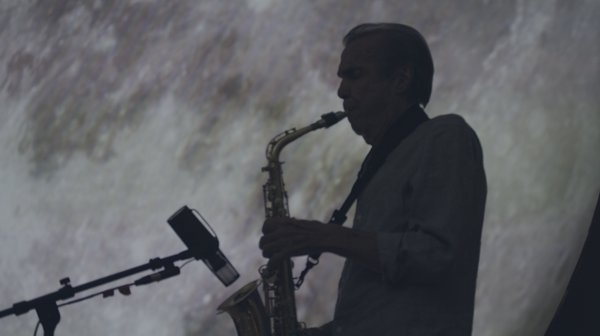 Screen Shot 2019-08-11 at 9.37.53 AM.png