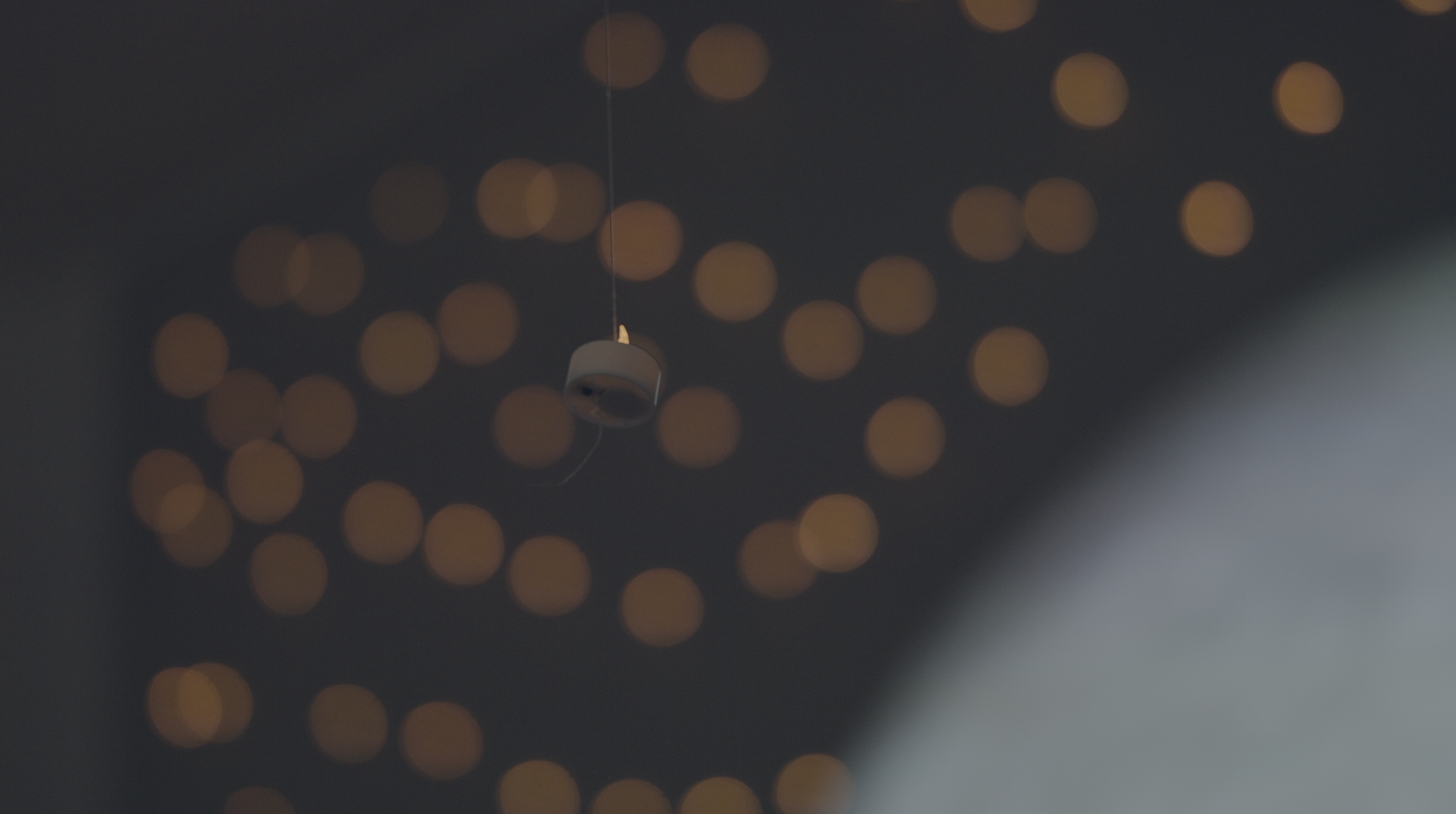 Screen Shot 2019-08-11 at 10.26.08 AM.png