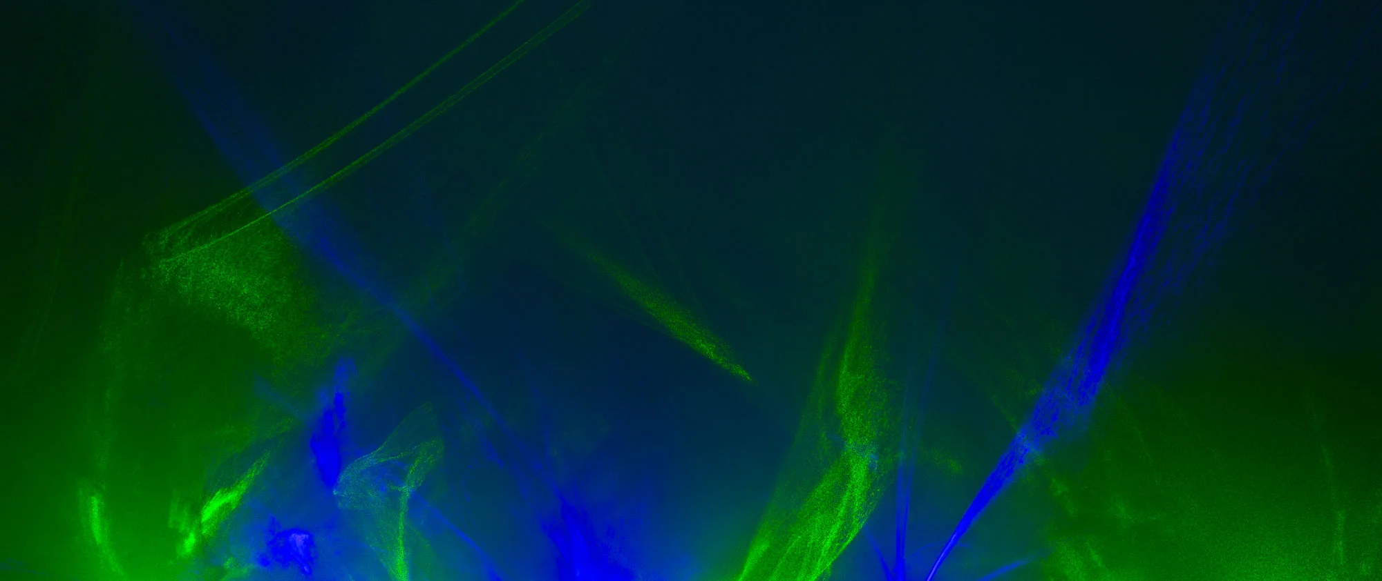 016---183A9168.jpg