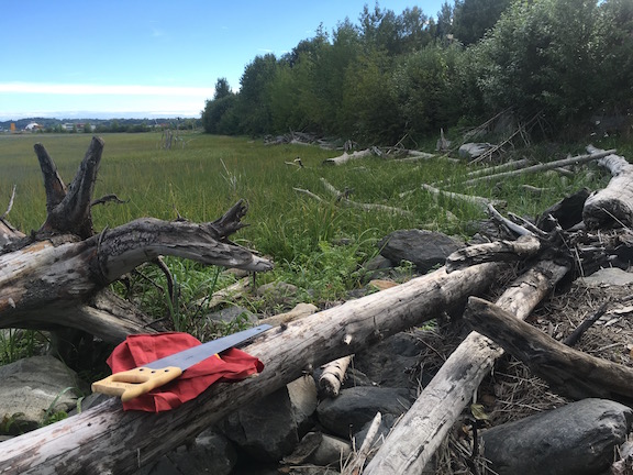 Collecting driftwood
