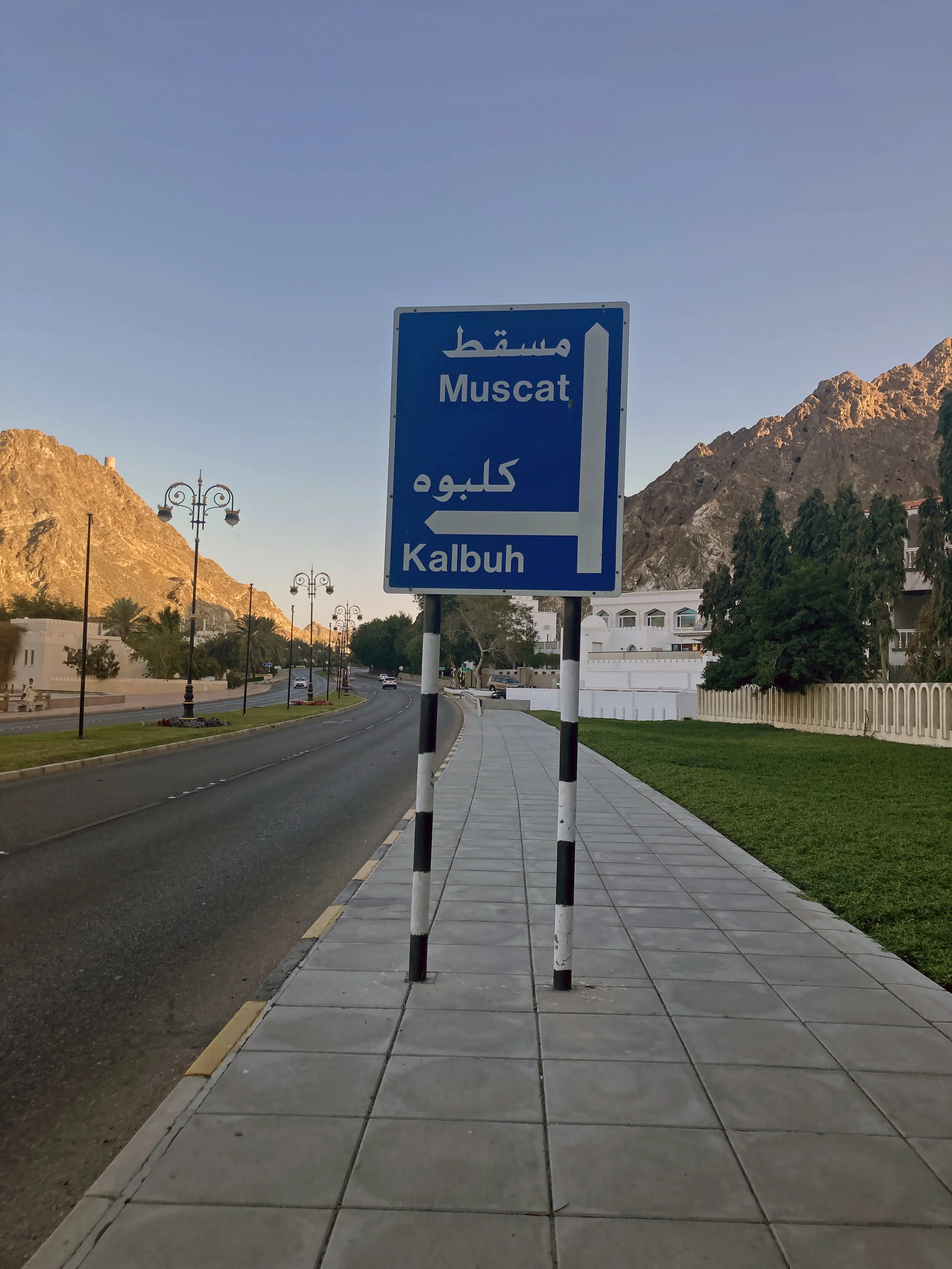  Muscat | February 2021 