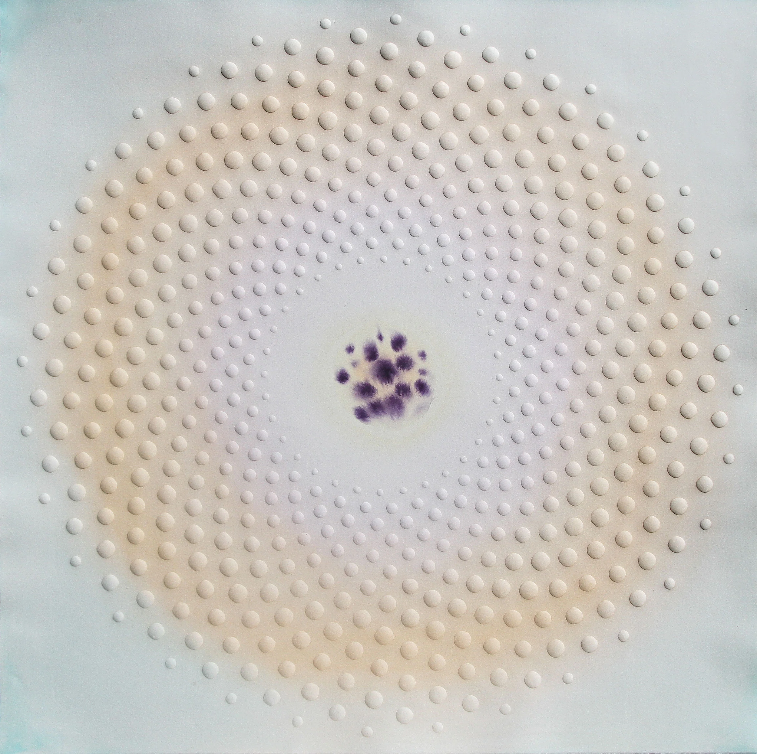 phyllotaxis 4