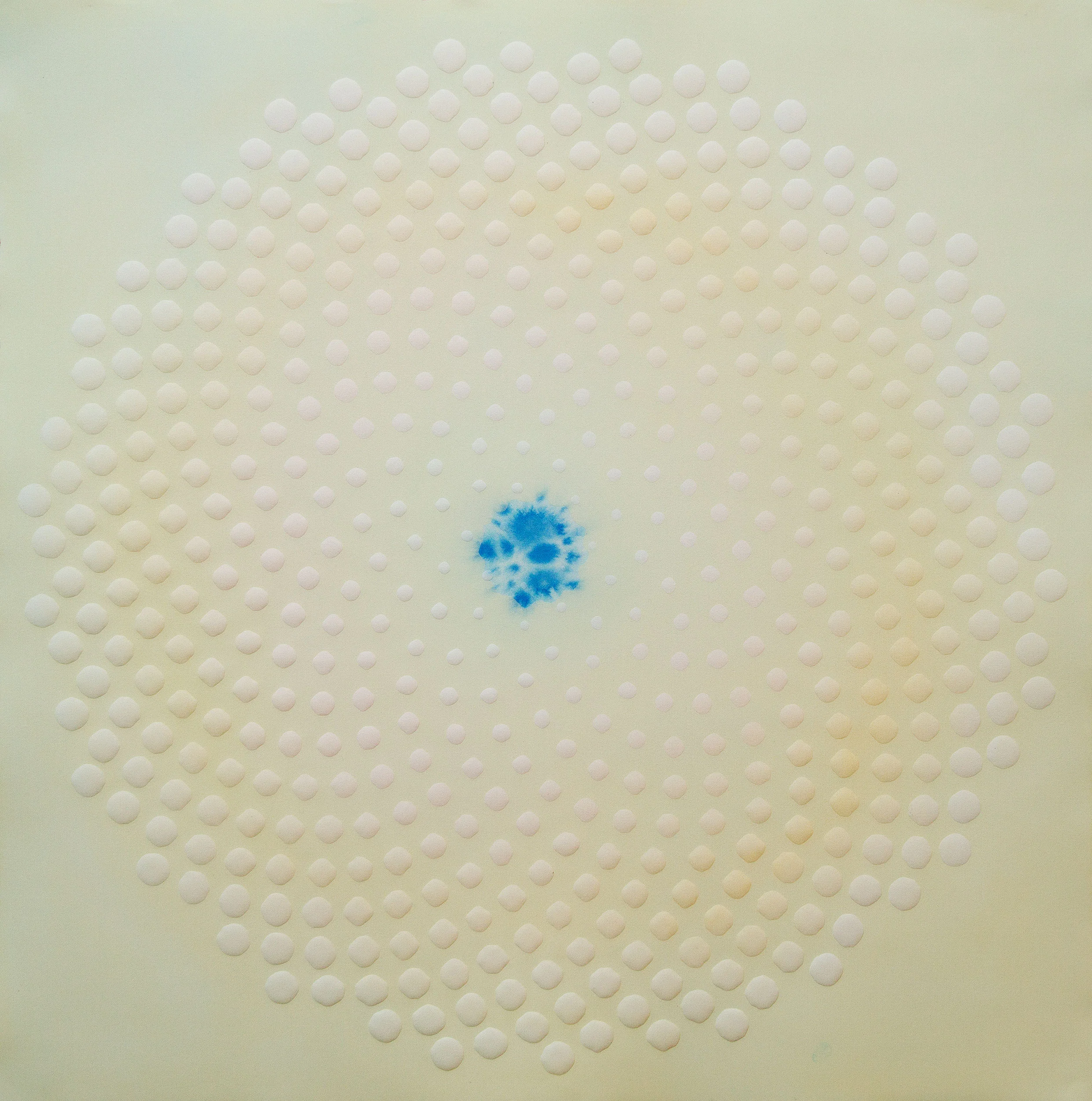 phyllotaxis 5