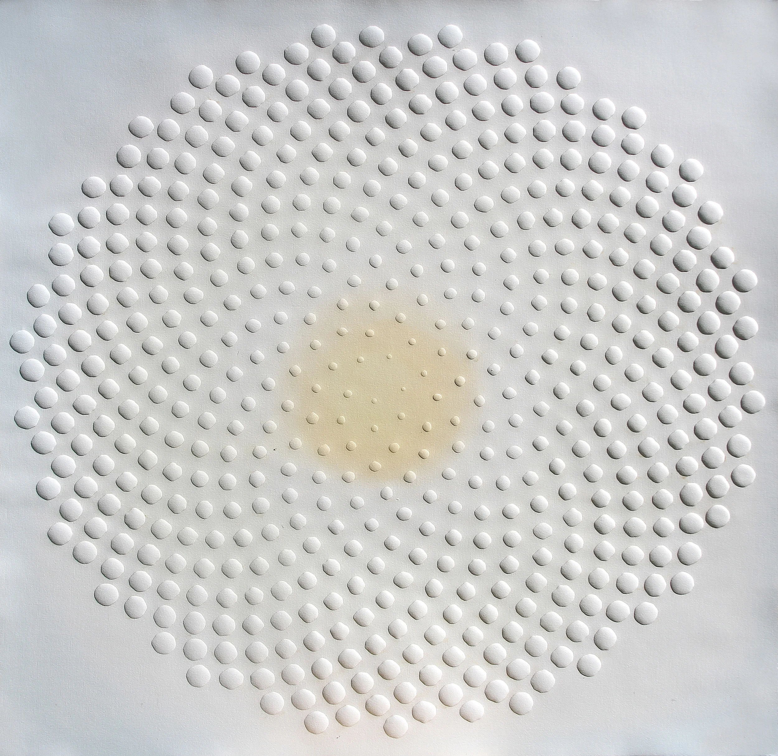 phyllotaxis 2