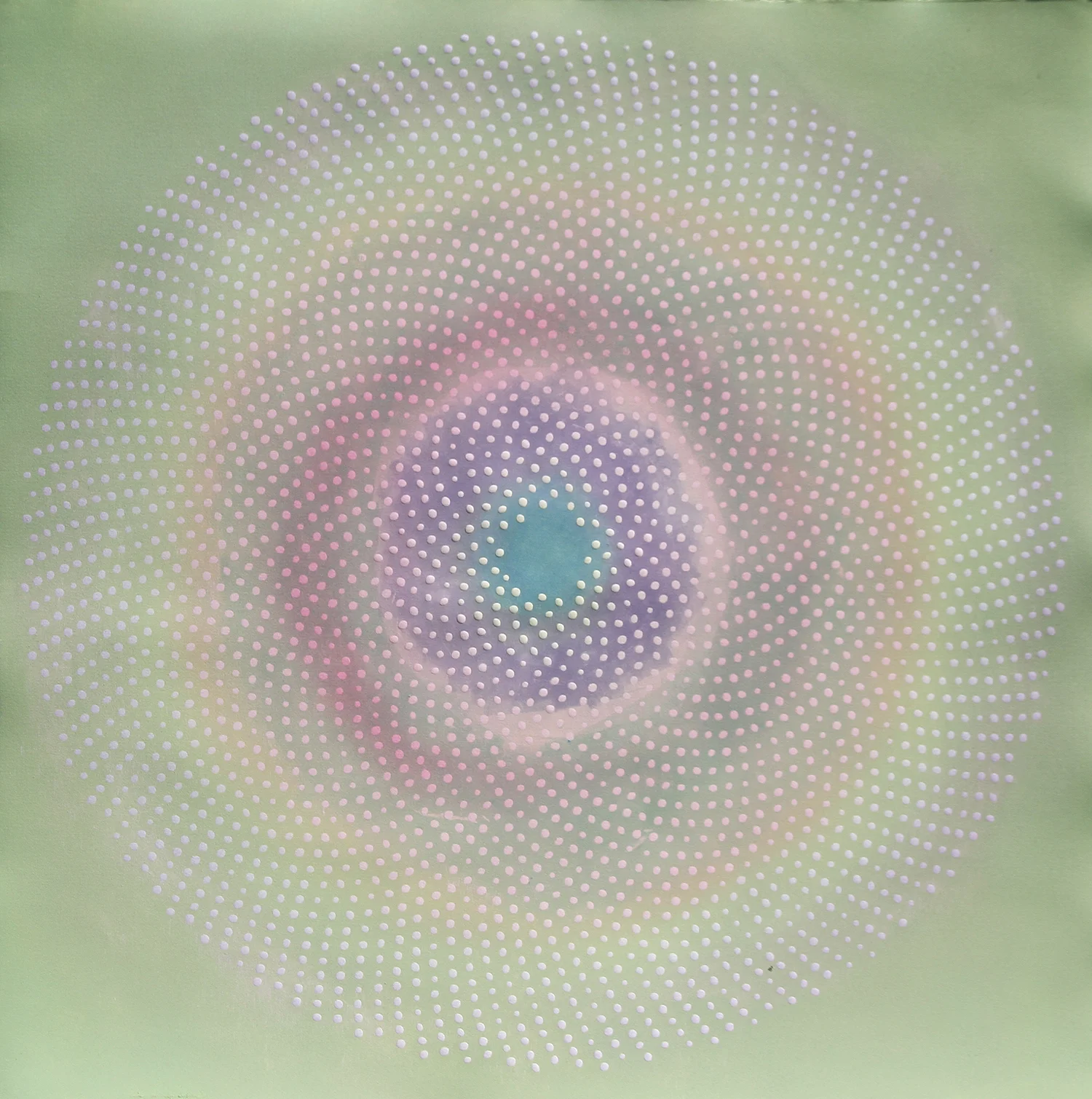 Phyllotaxis 21
