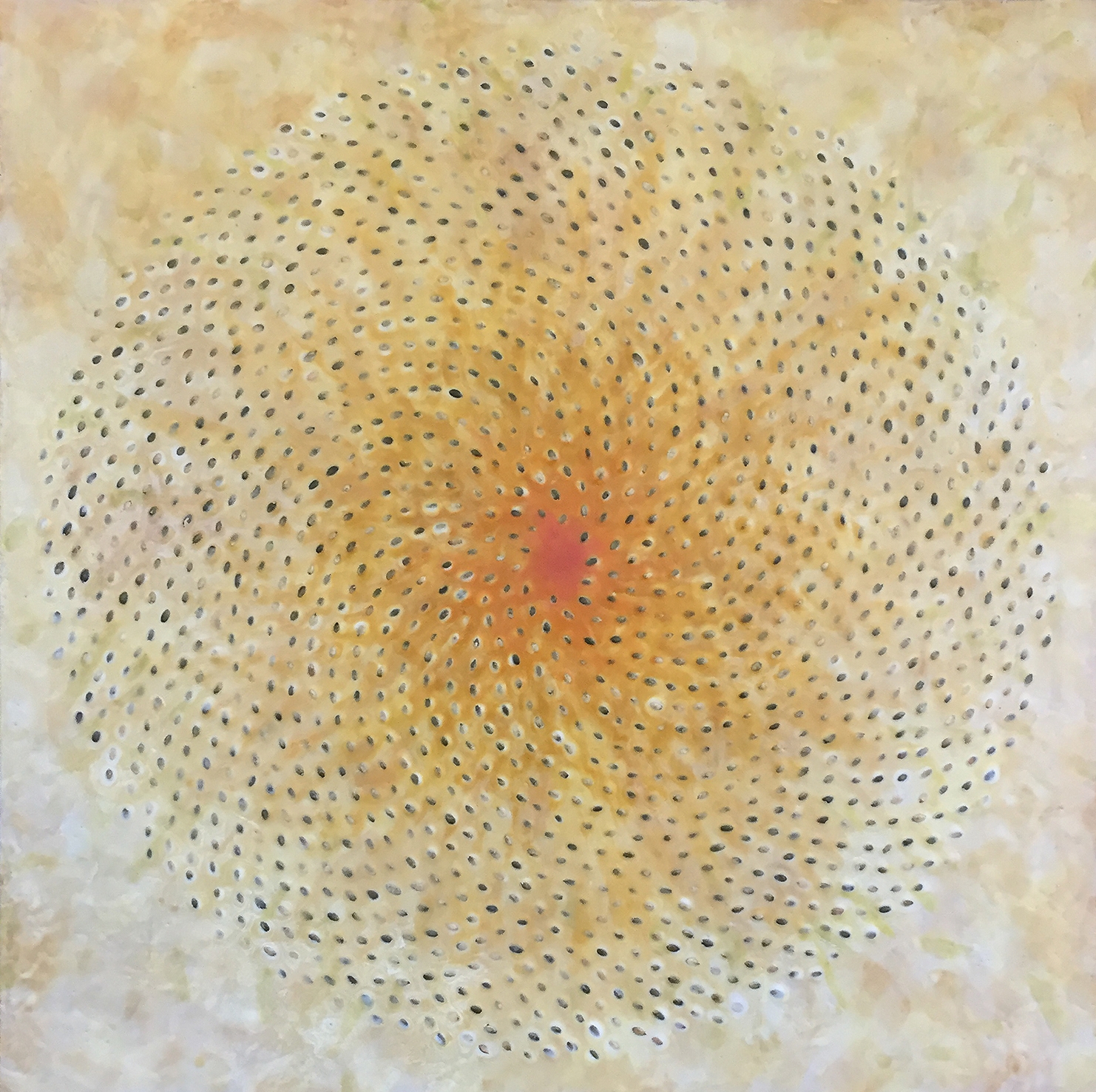 Phyllotaxis 3